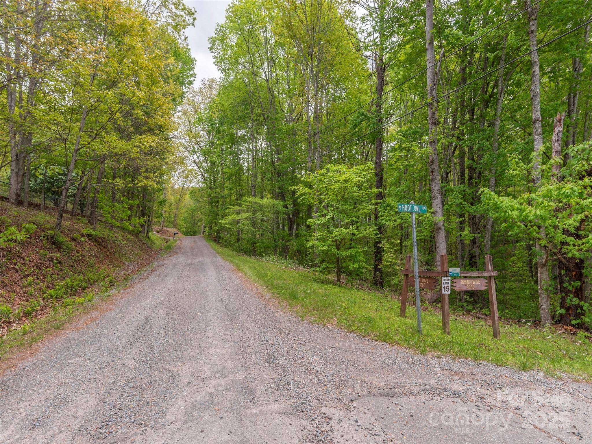 Waynesville, NC 28786,00 Hoot Owl RDG