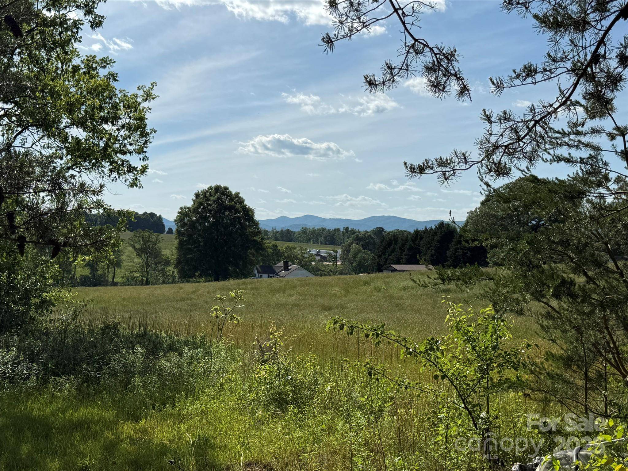 Taylorsville, NC 28681,33 Honeysuckle LN