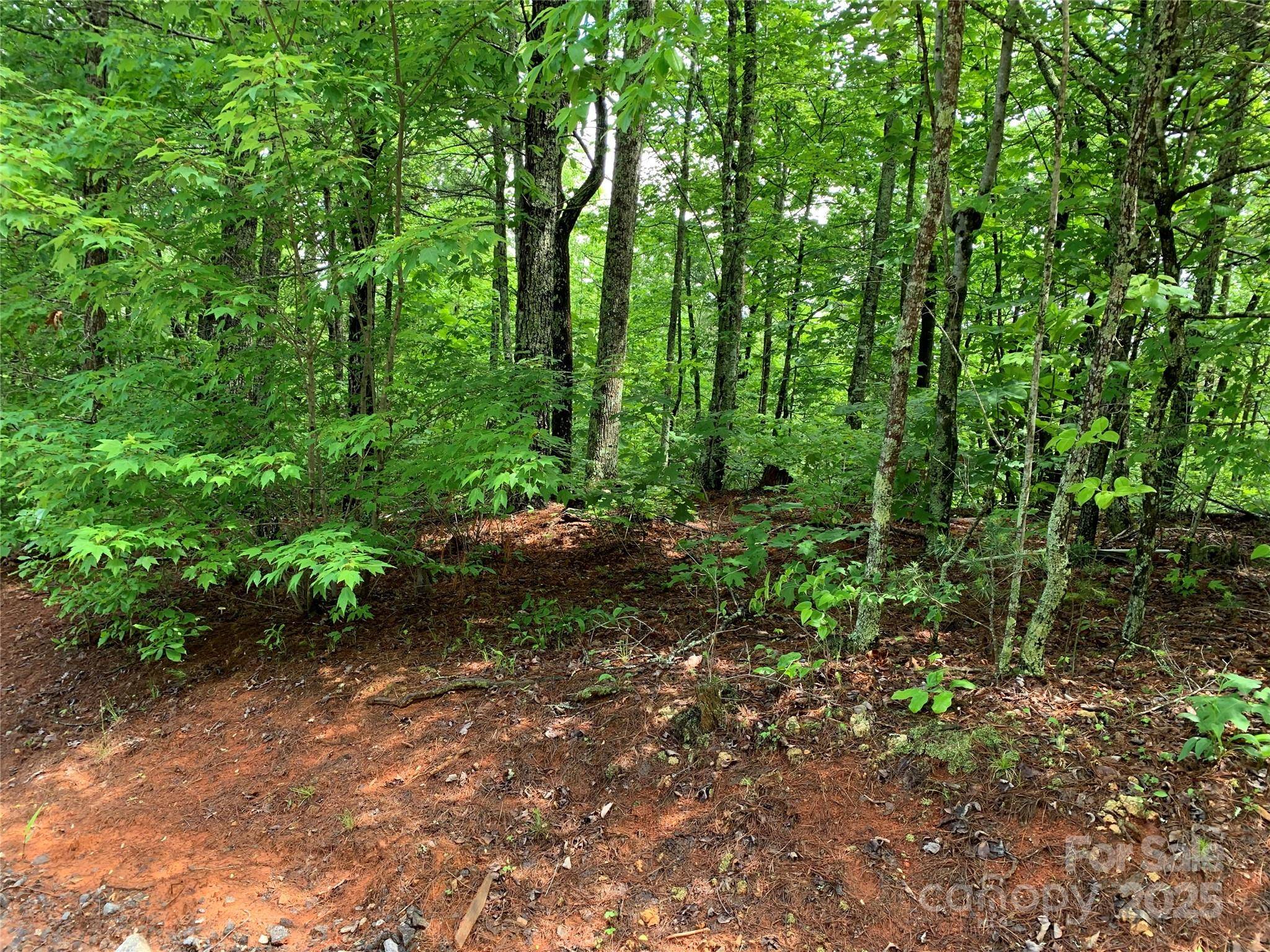 Lenoir, NC 28645,Lot 838B Whispering Hills LN
