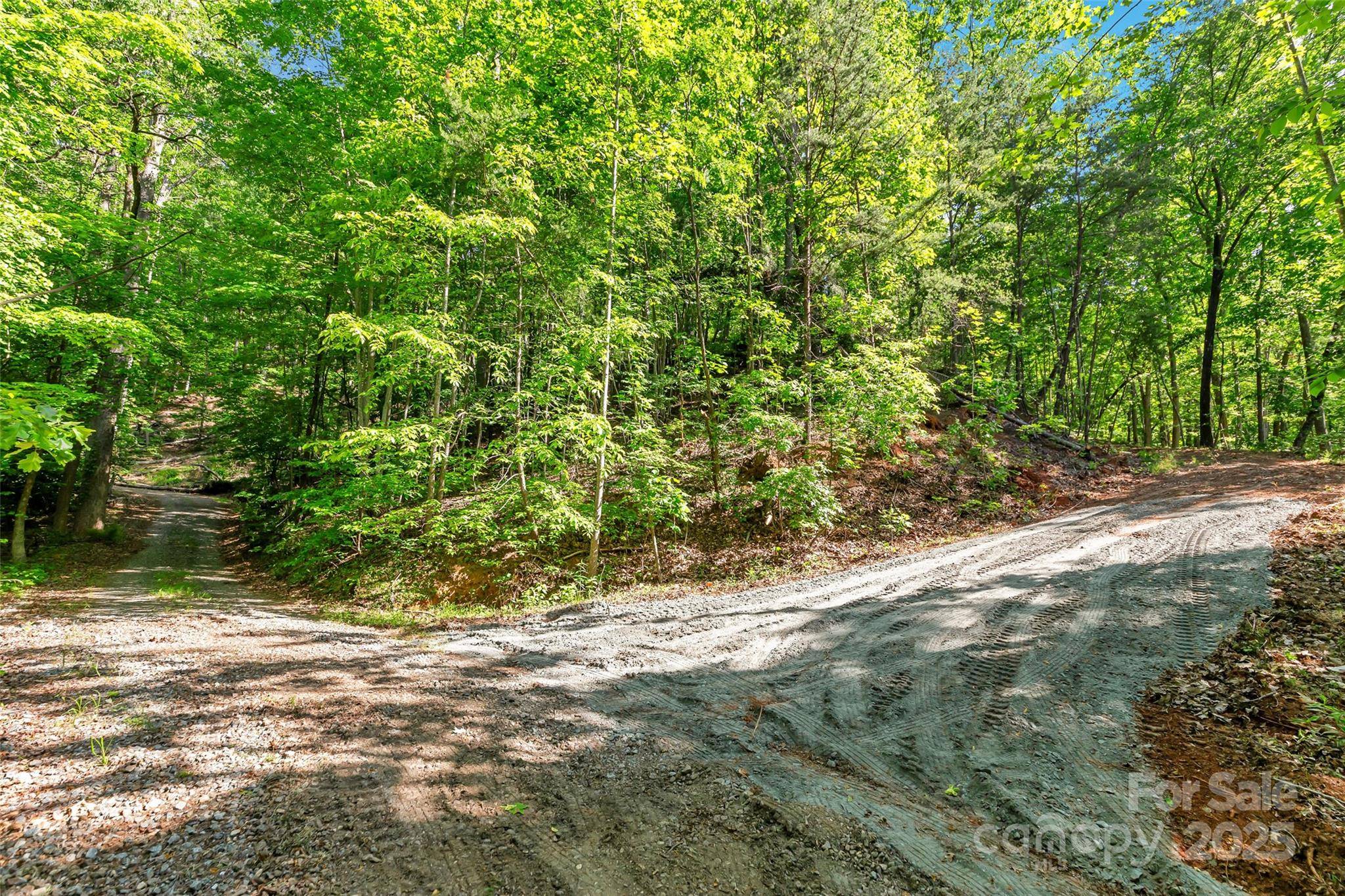 Union Mills, NC 28167,0 Maple Spring DR