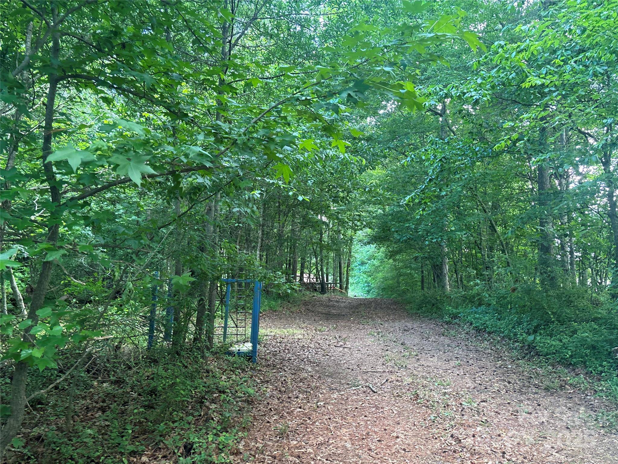 Polkton, NC 28135,160 Pine Log RD