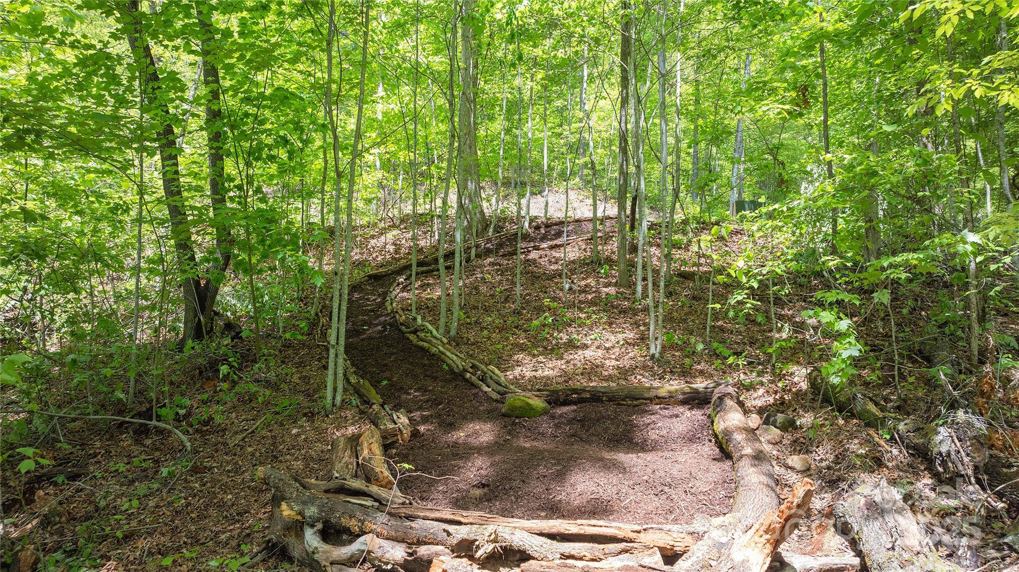 Tuckasegee, NC 28783,Lot 59 Waterdance DR #59