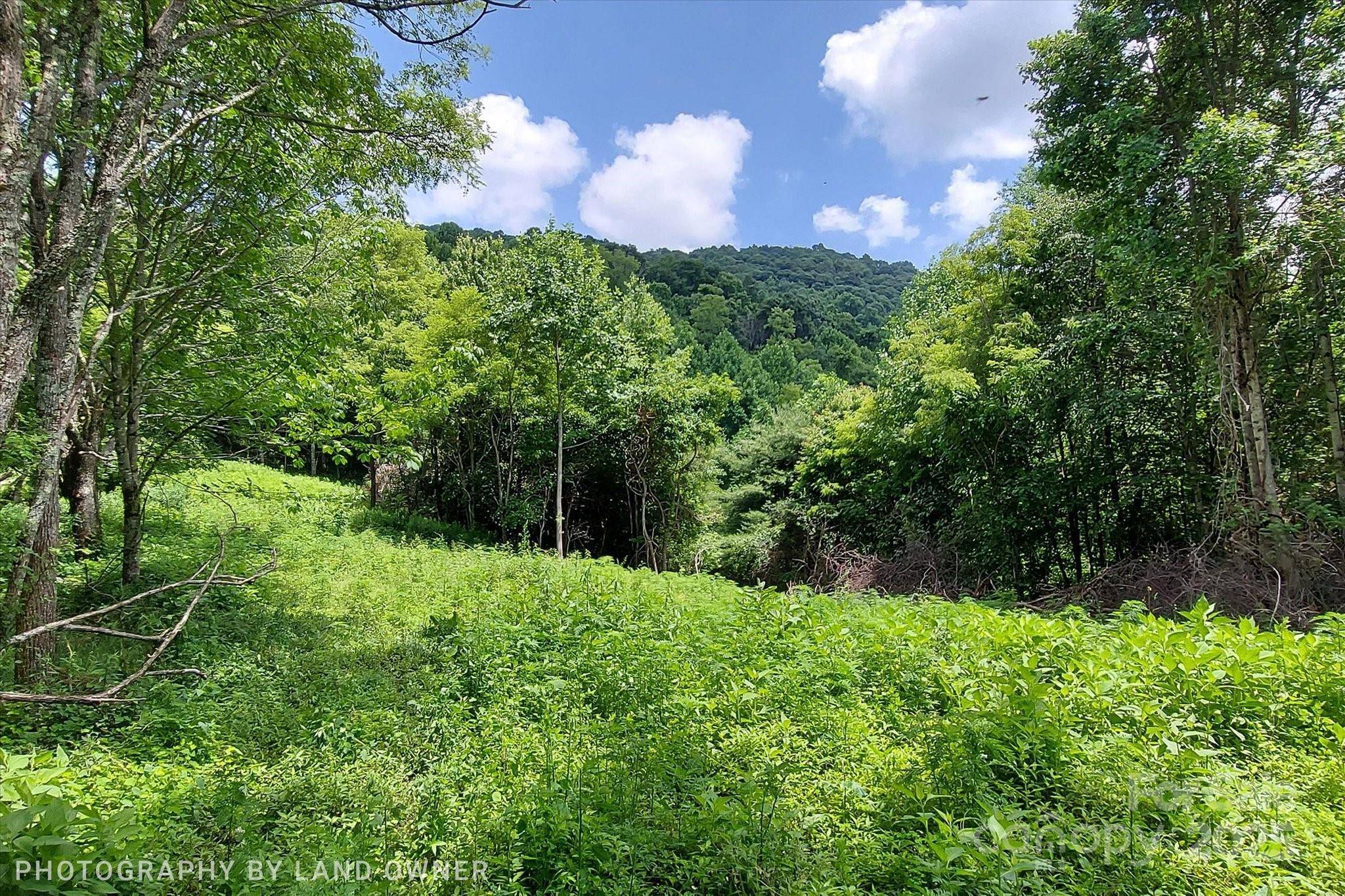 Hot Springs, NC 28743,1397 Bee Branch RD