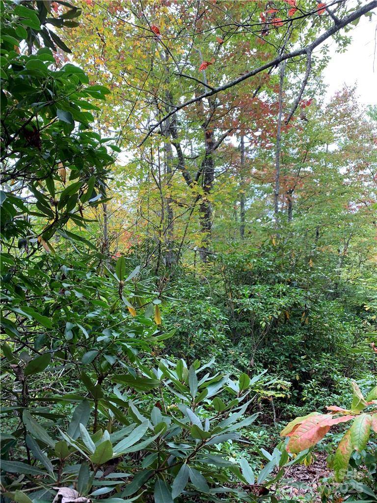 Rosman, NC 28772,000 Eastatoe Gap RD