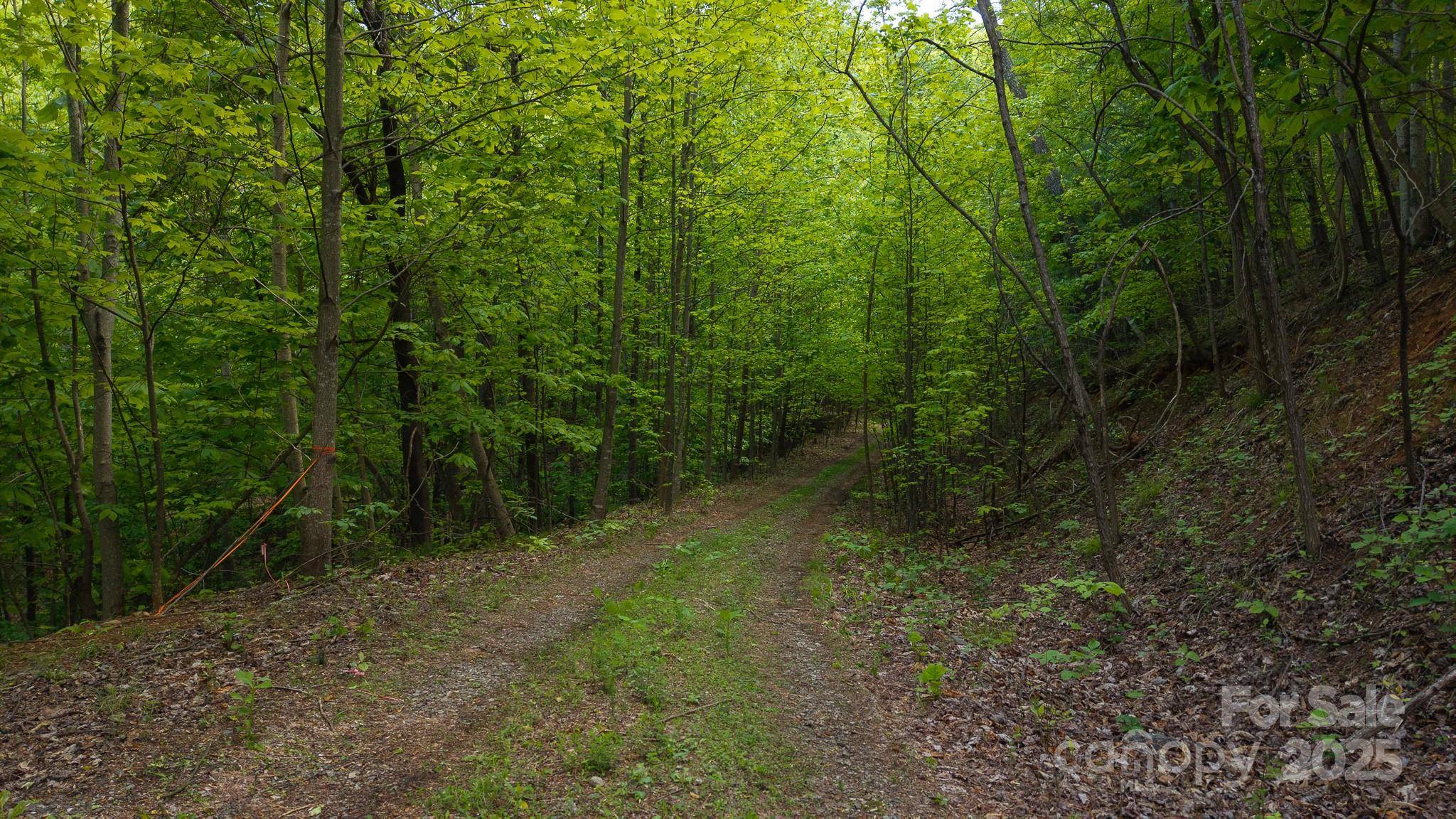Moravian Falls, NC 28654,TBD Cove Gap RD #Offering #2