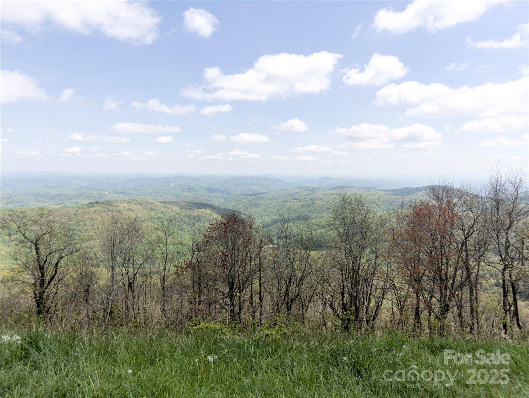 Deep Gap, NC 28618,0000 Wildcat RD