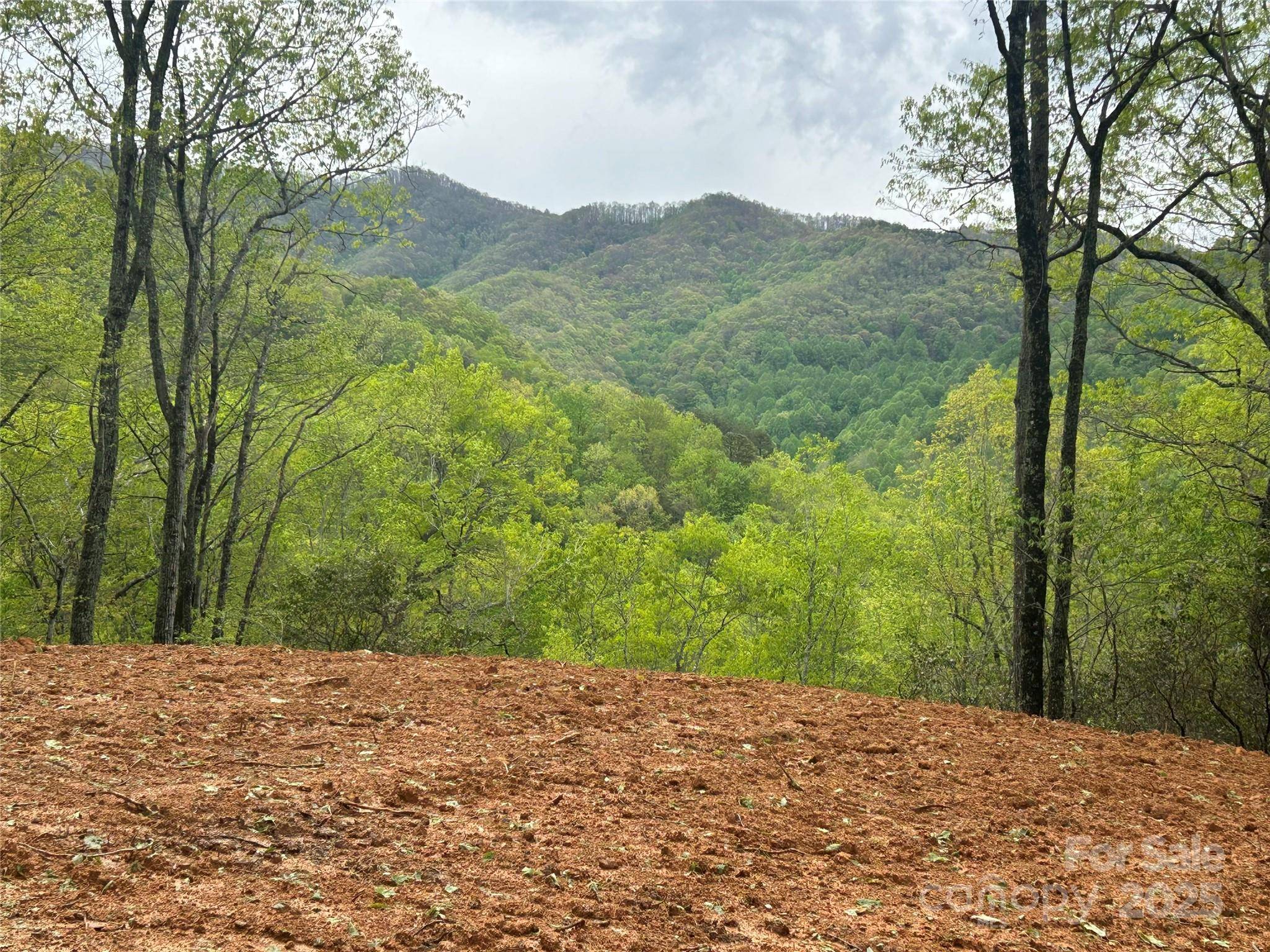 Bryson City, NC 28713,0 Blackberry BND #8