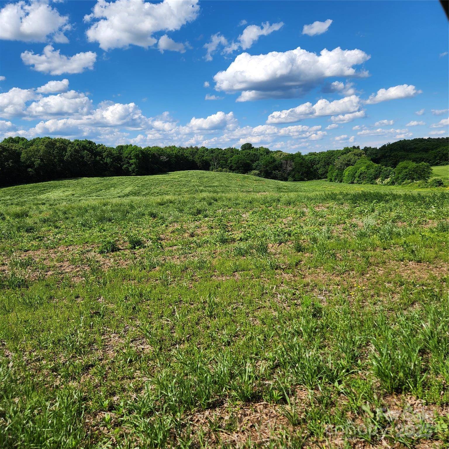 Marshville, NC 28103,TBD Pleasant Hill Church RD