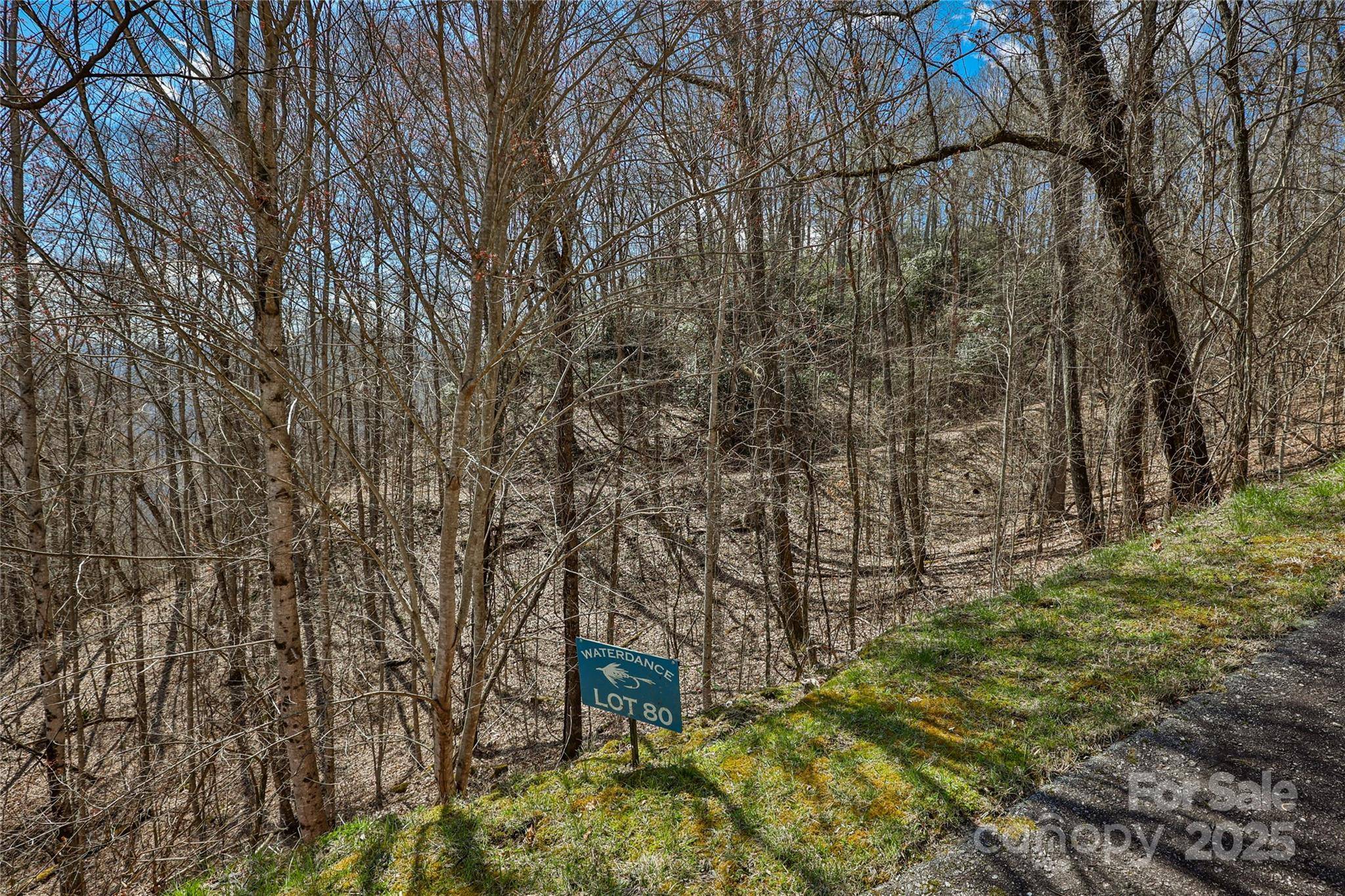 Tuckasegee, NC 28783,Lot 80 Waterdance DR #80
