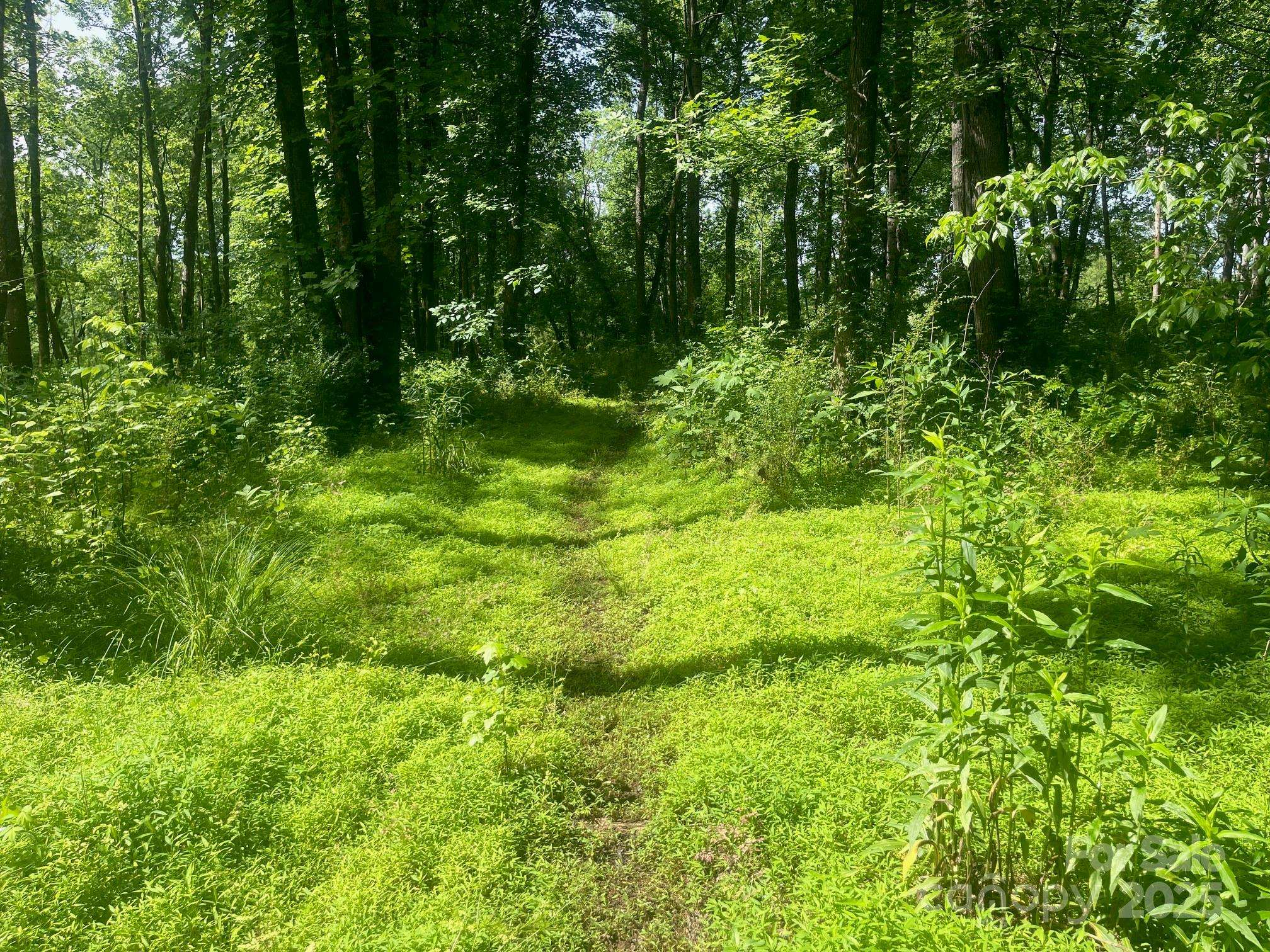 Statesville, NC 28625,Lot 149 Lookout Dam RD