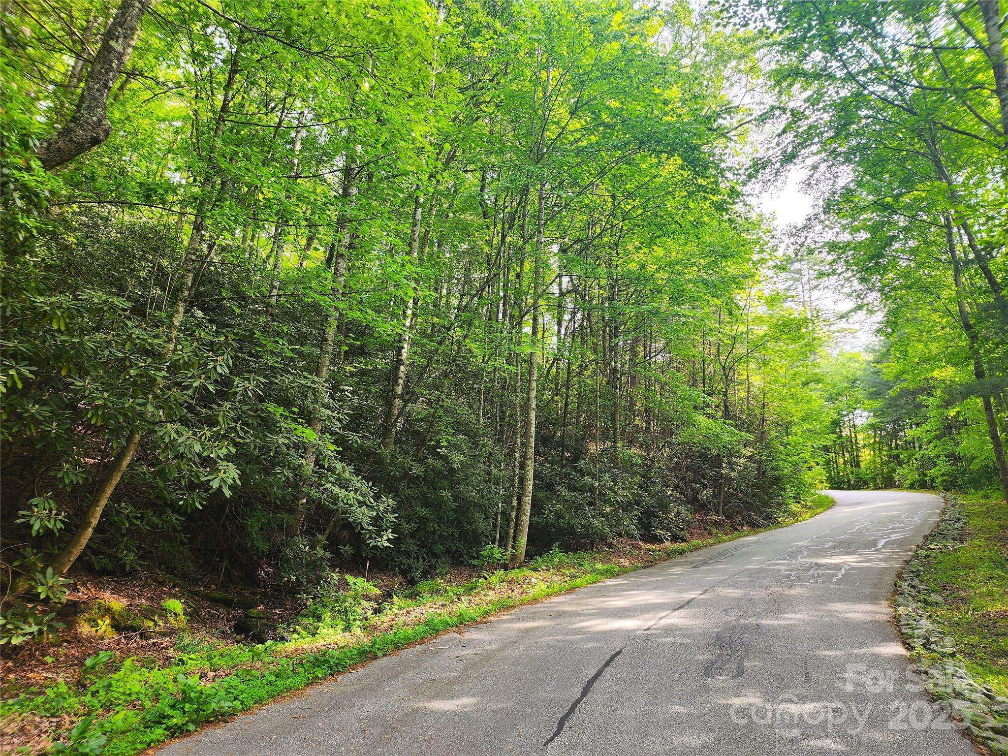 Penrose, NC 28766,Lot 33 Morgan DR