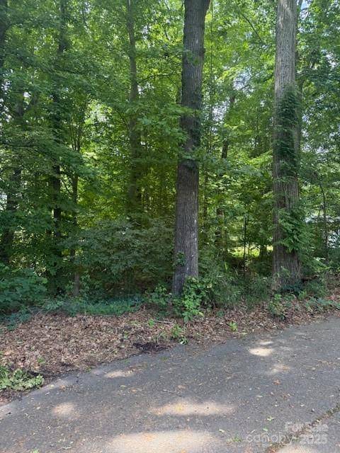 Mount Holly, NC 28120,00 Greentree DR