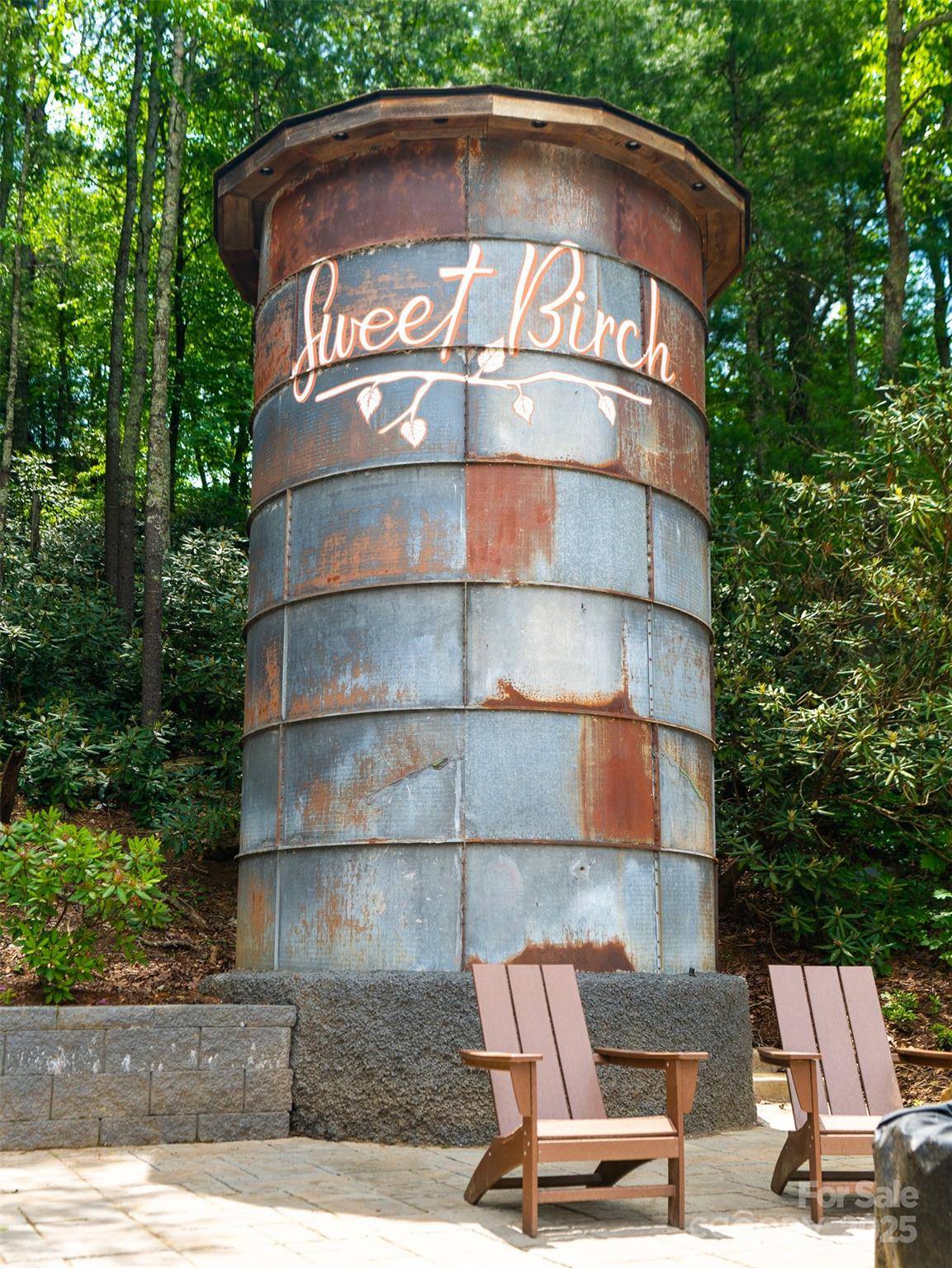 Black Mountain, NC 28711,572 Sweet Birch Park LN