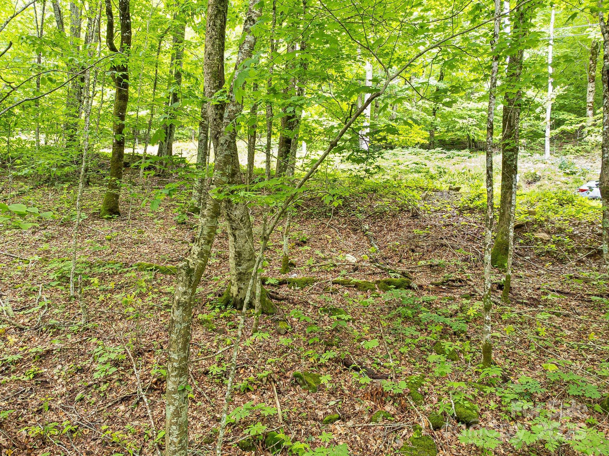 Mars Hill, NC 28754,65 Bee Tree LN