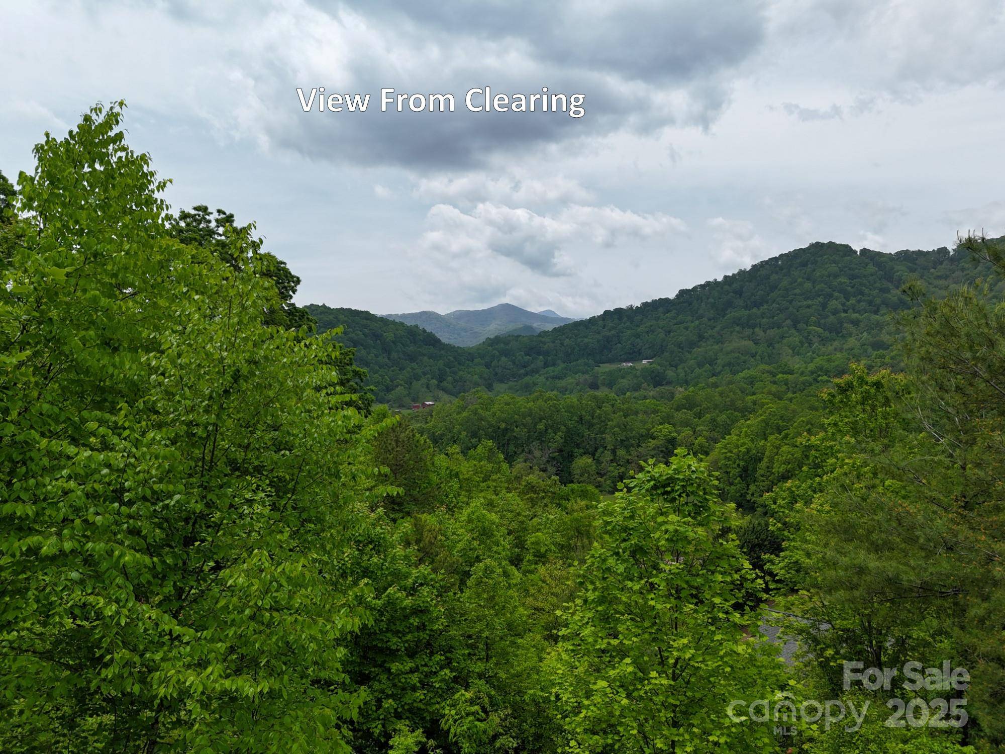 Waynesville, NC 28785,0 Iverness DR #12