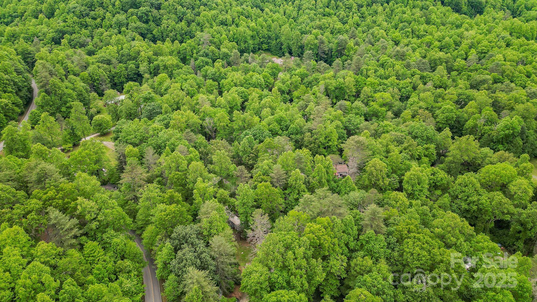 Hendersonville, NC 28739,140 Old CCC RD