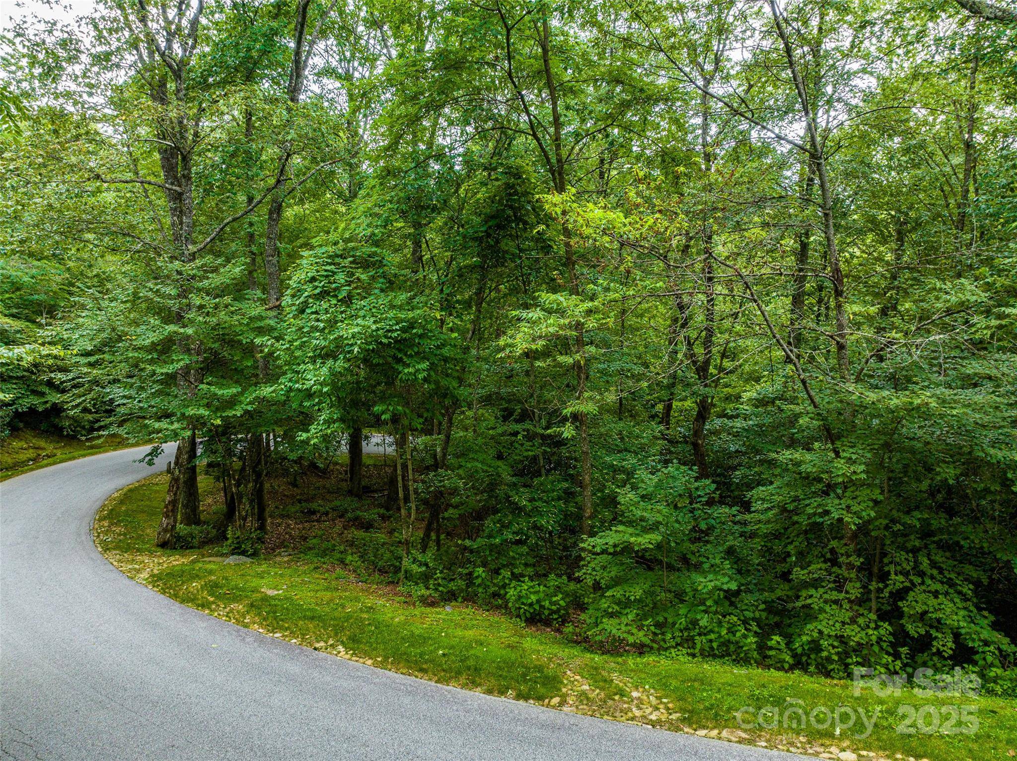 Highlands, NC 28741,Lot 10 Ravenel Ridge RD #10