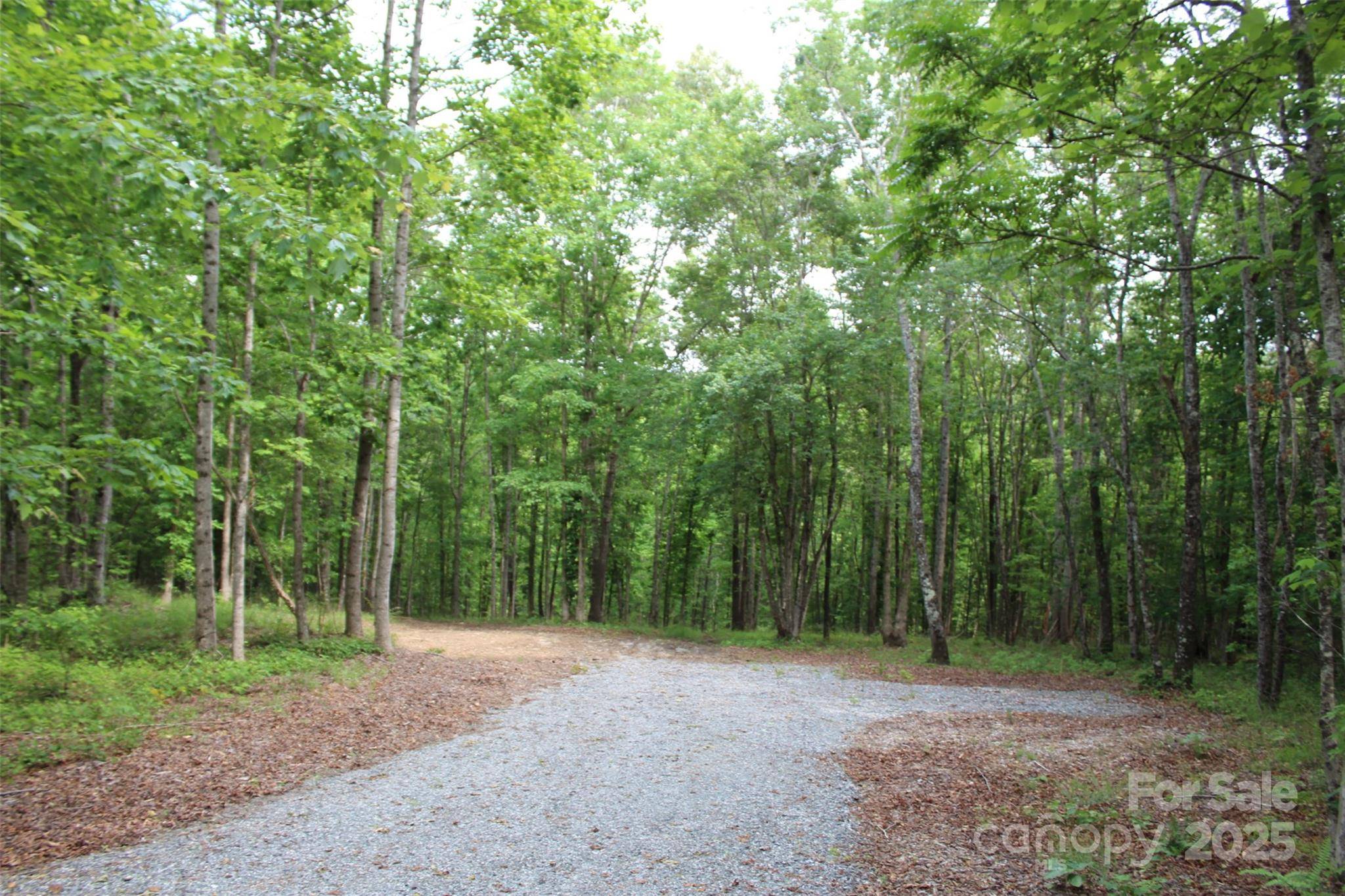 Mill Spring, NC 28756,Lot 27 S Cross Creek TRL #27