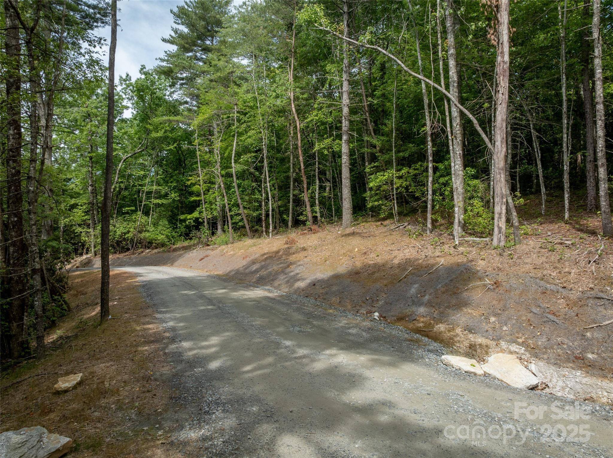 Penrose, NC 28739,99999 Bulling Creek RD