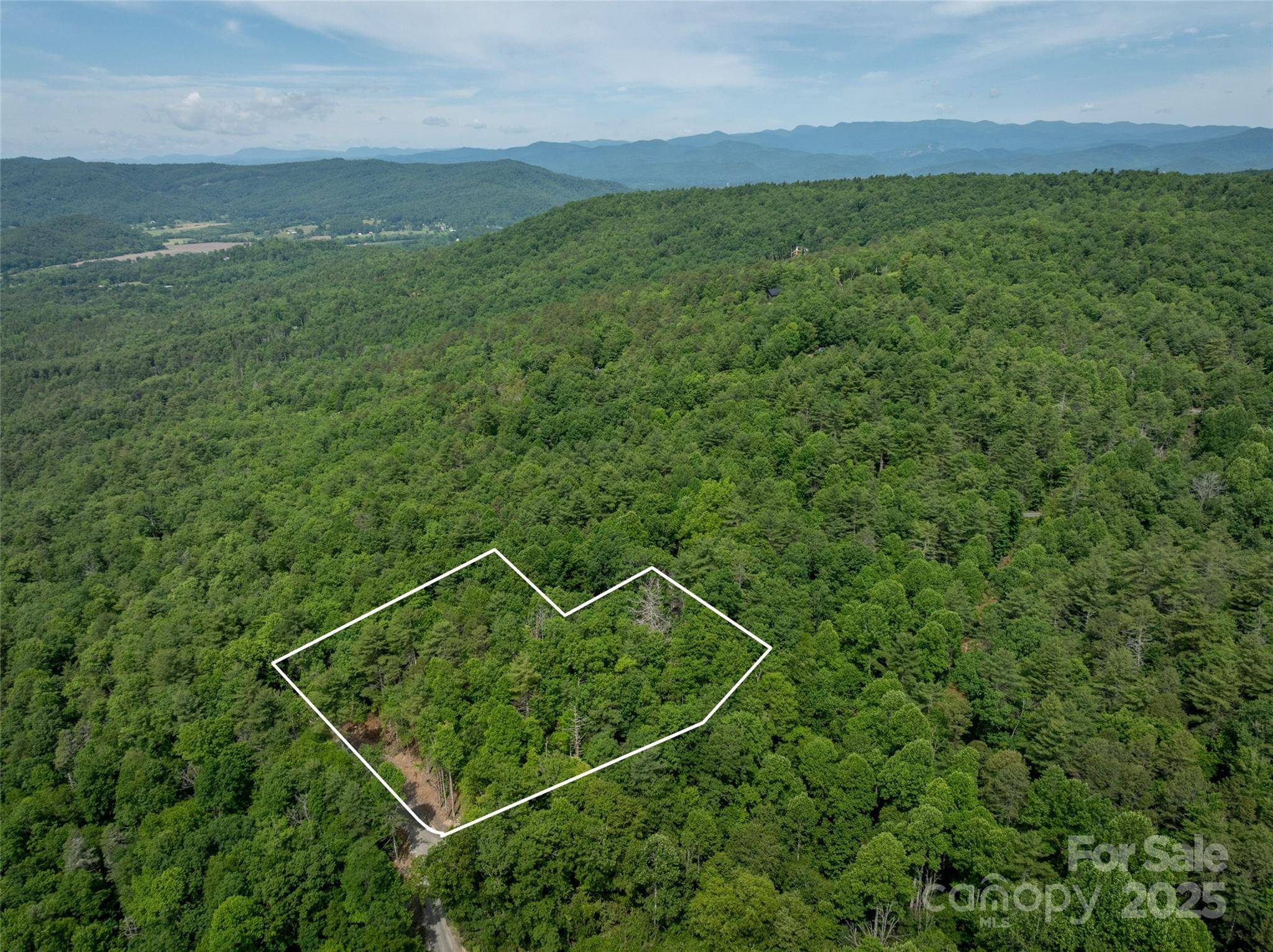 Penrose, NC 28739,99999 Bulling Creek RD