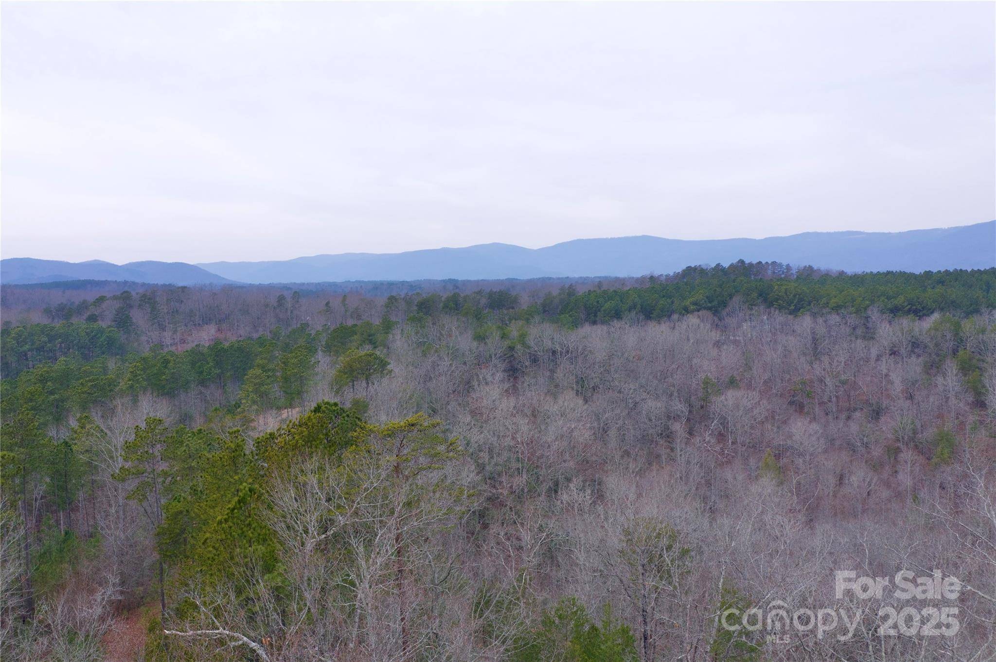 Mill Spring, NC 28756,1140 Hwy 9 HWY
