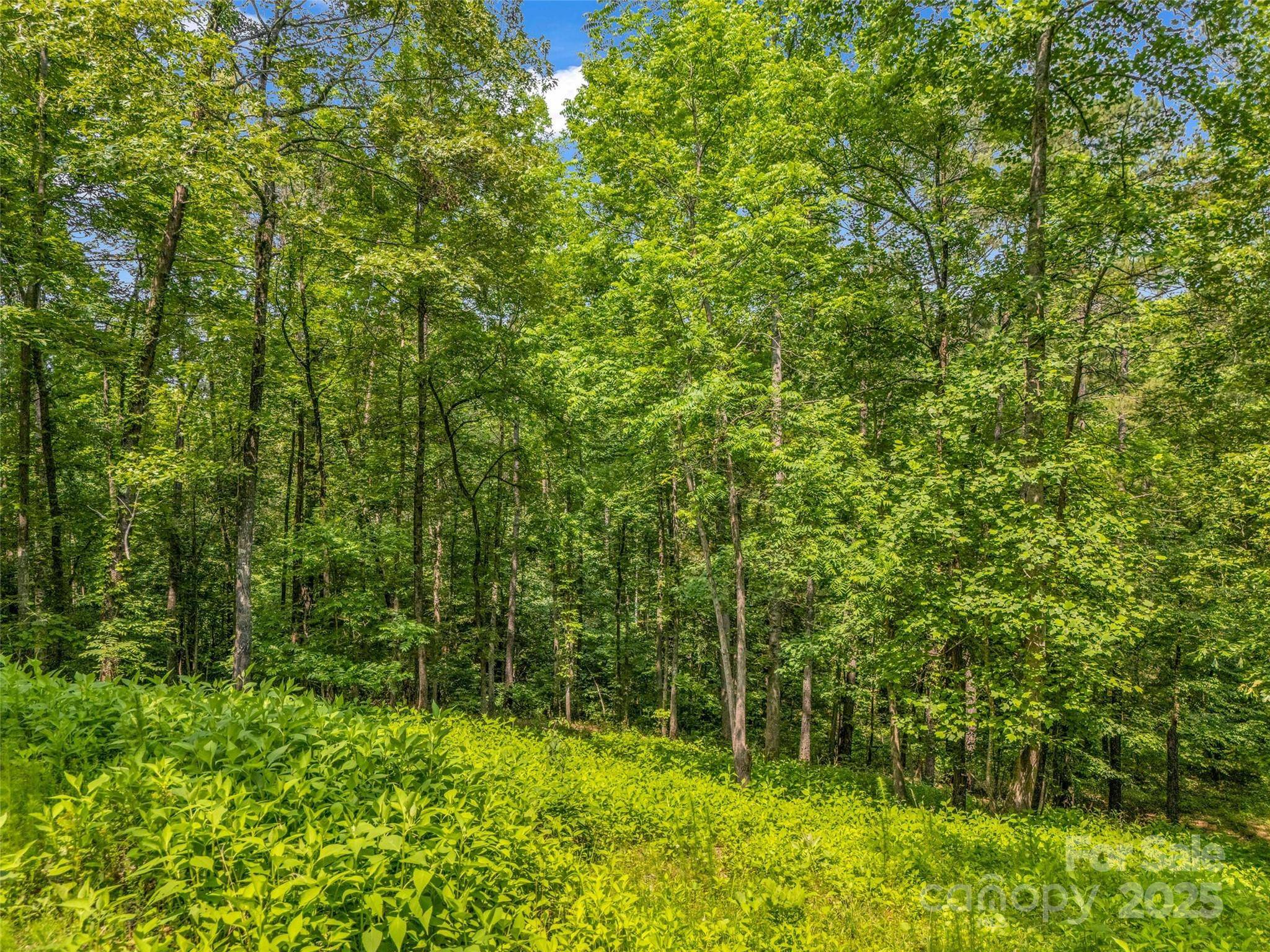 Rutherfordton, NC 28139,0 Creekside CIR #120