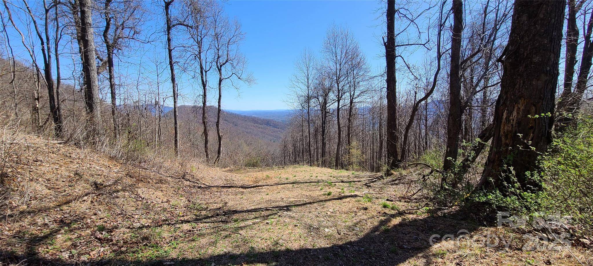 Black Mountain, NC 28711,67 Creston DR #T-17