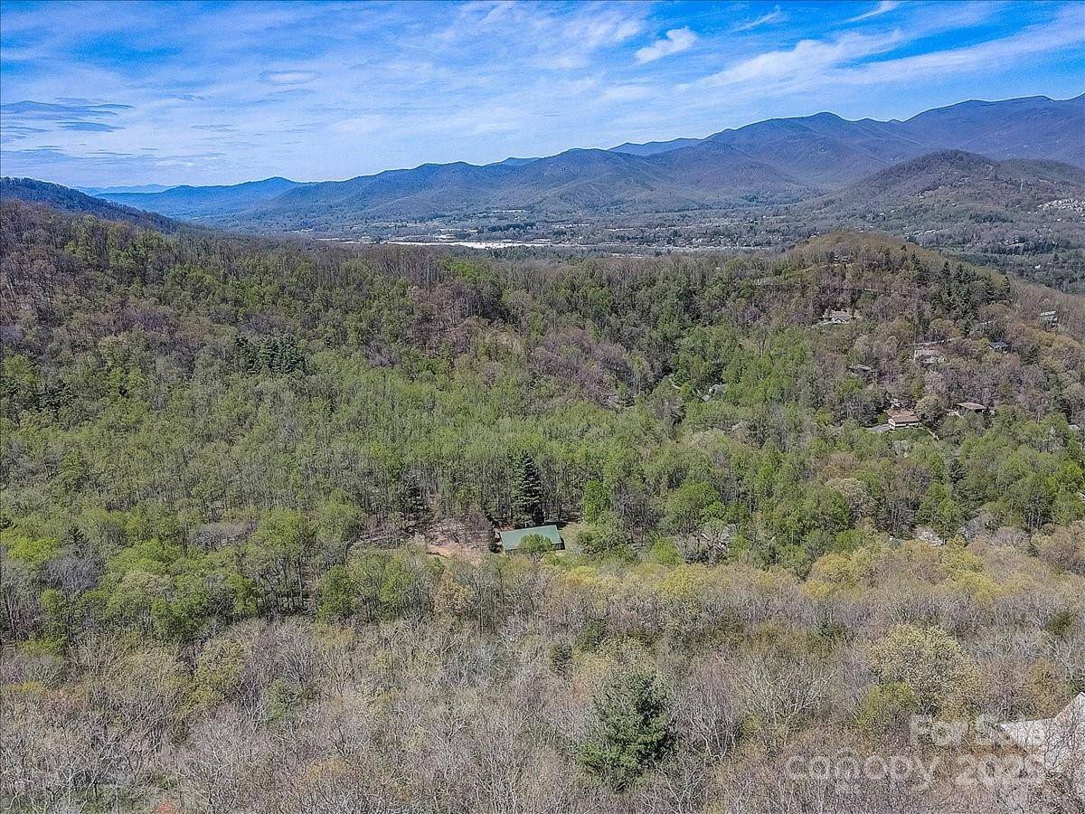 Black Mountain, NC 28711,37 Old Greybeard LOOP #78