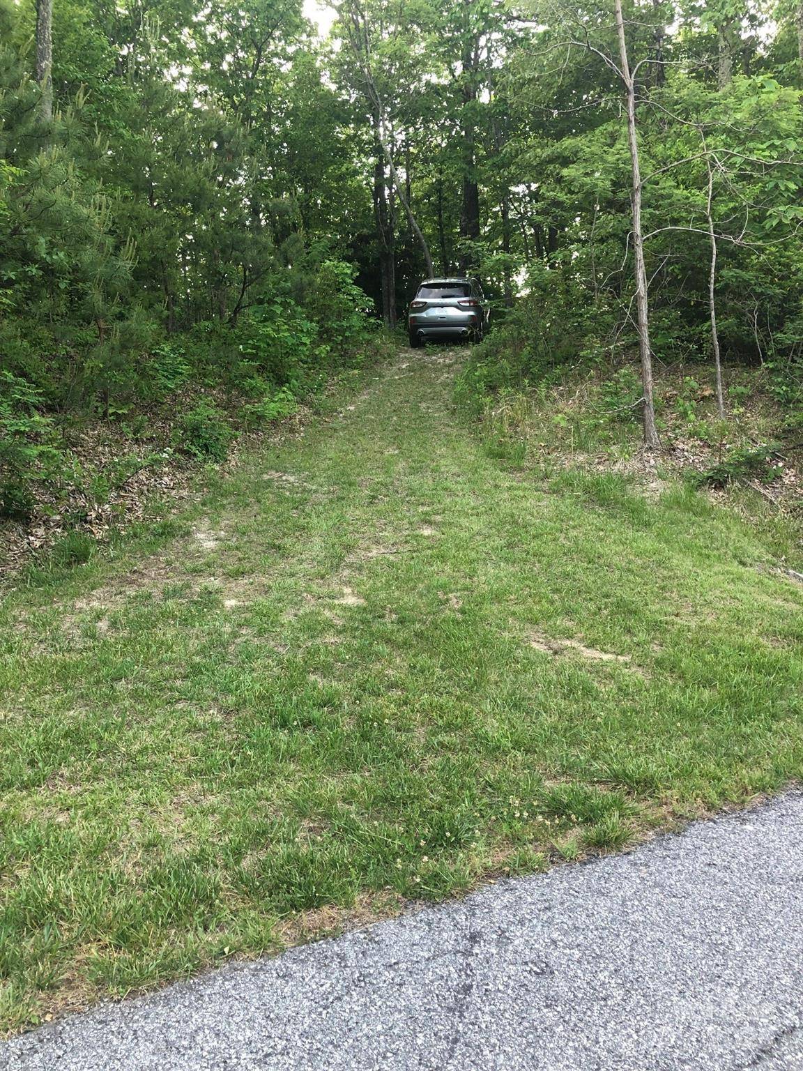 Black Mountain, NC 28711,99999 Cliffledge TRL