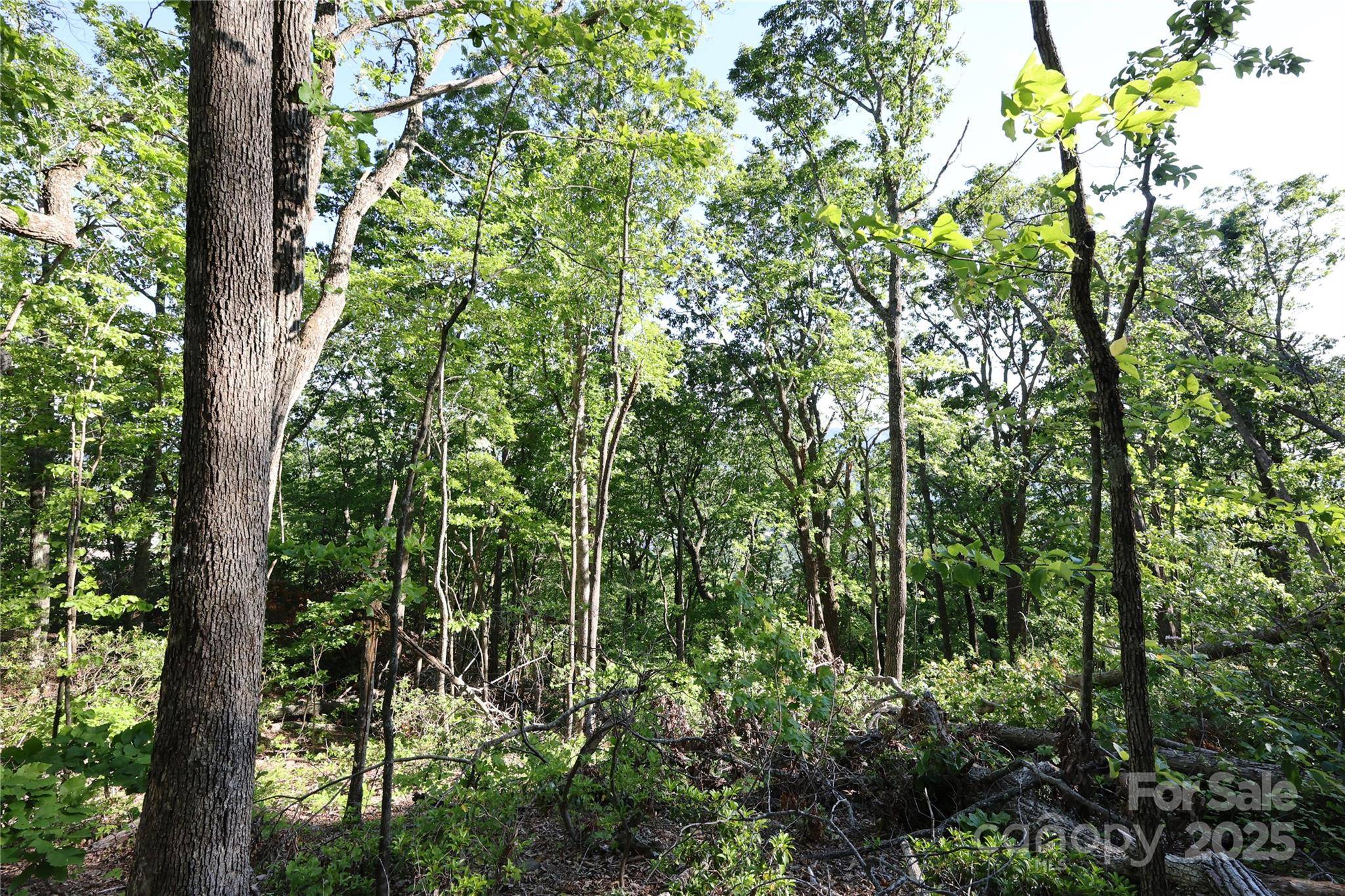 Black Mountain, NC 28711,9999 Crestview DR #D-3
