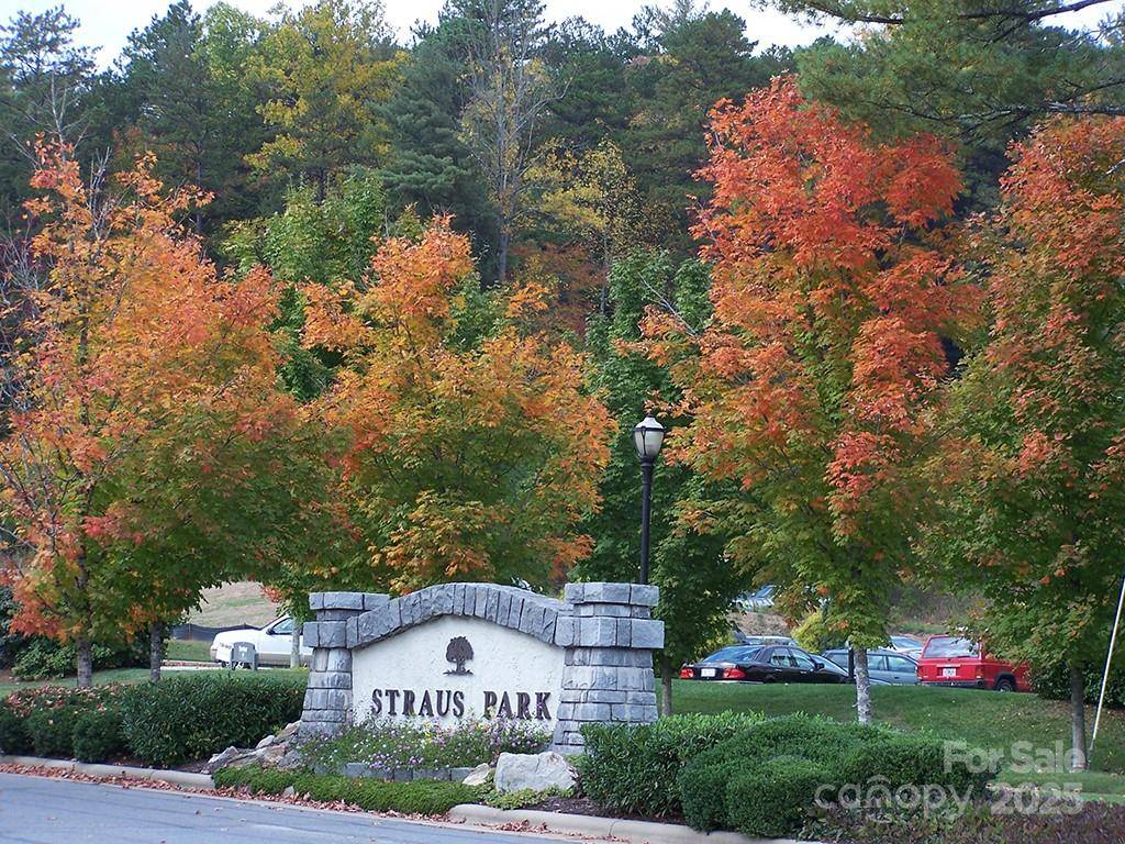 Brevard, NC 28712,A5 Allison Creek TRL #A5