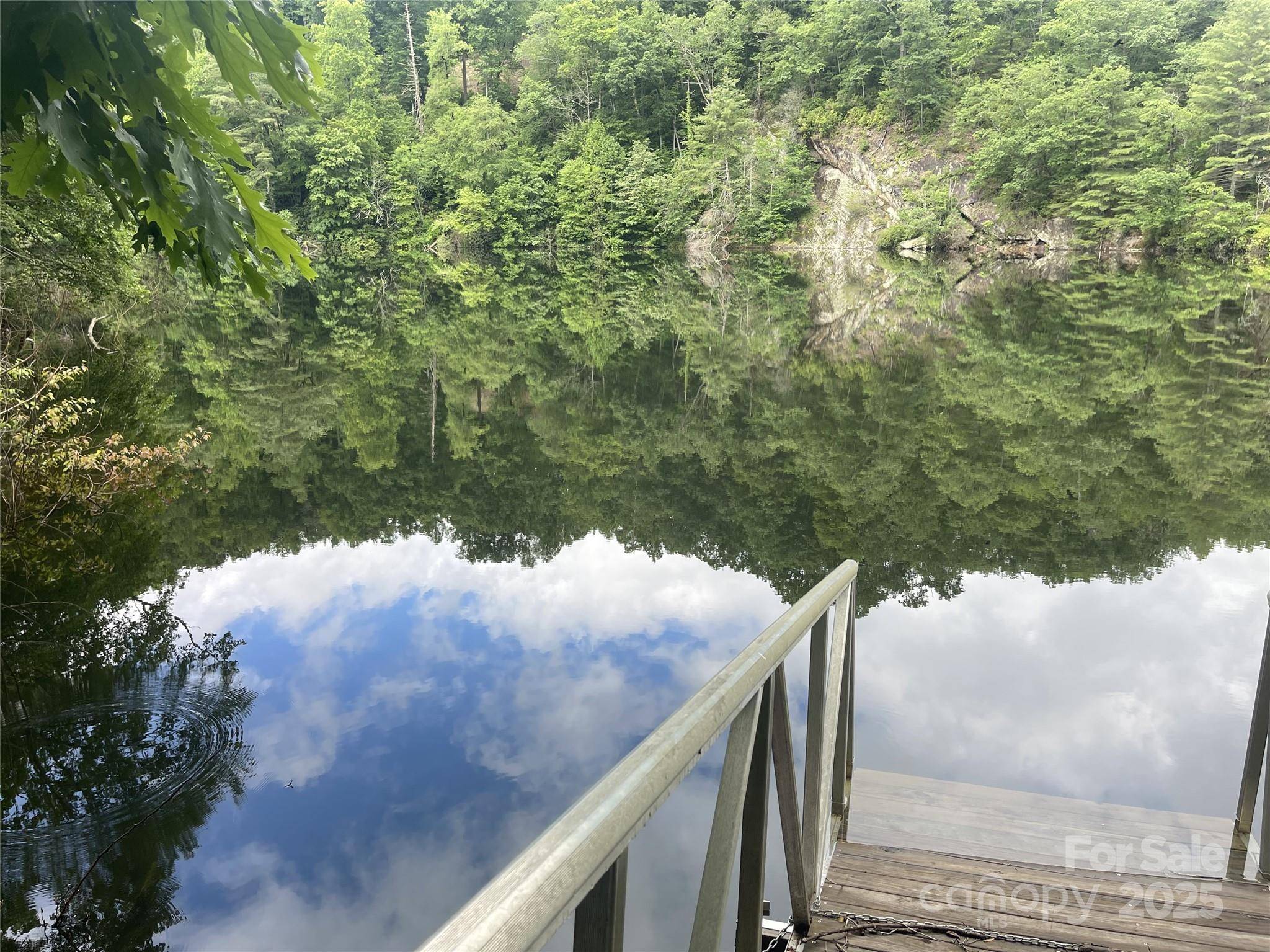 Tuckasegee, NC 28783,350 Sweet Birch LN