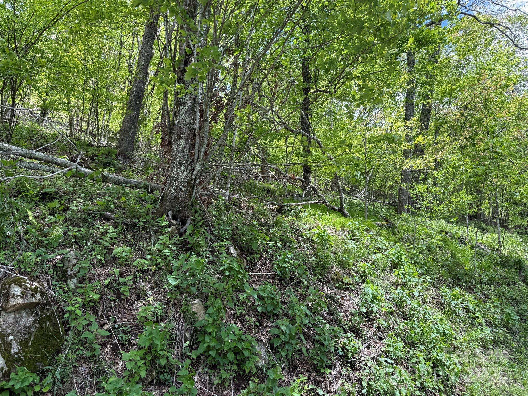 Banner Elk, NC 28604,44 Fox Paw LN
