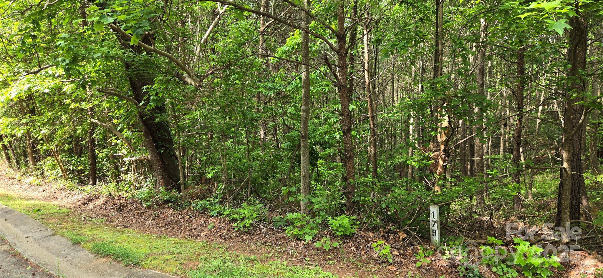 Morganton, NC 28655,1590 Hawks Pointe LN