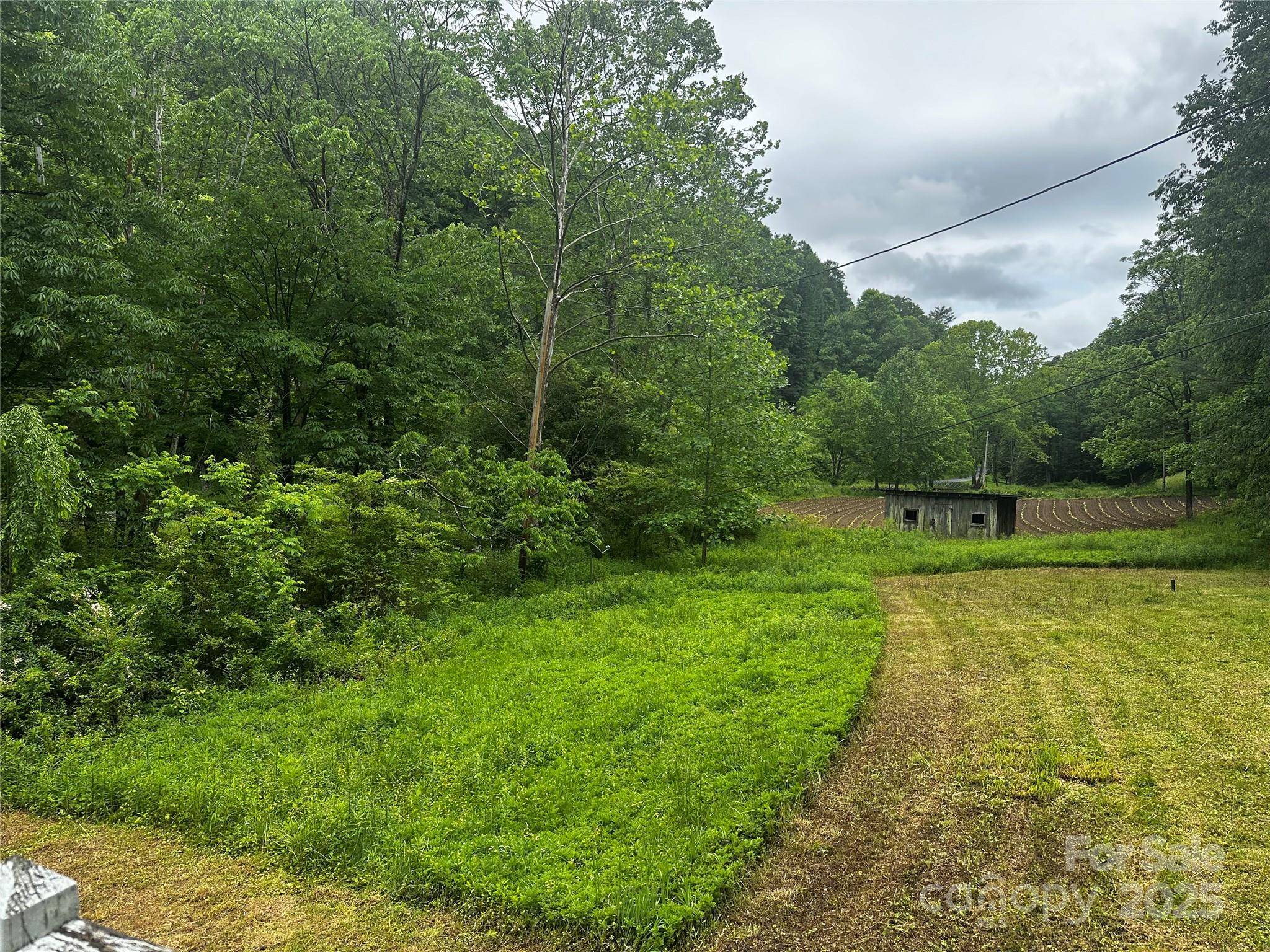 Green Mountain, NC 28740,731 Pigeon Roost RD