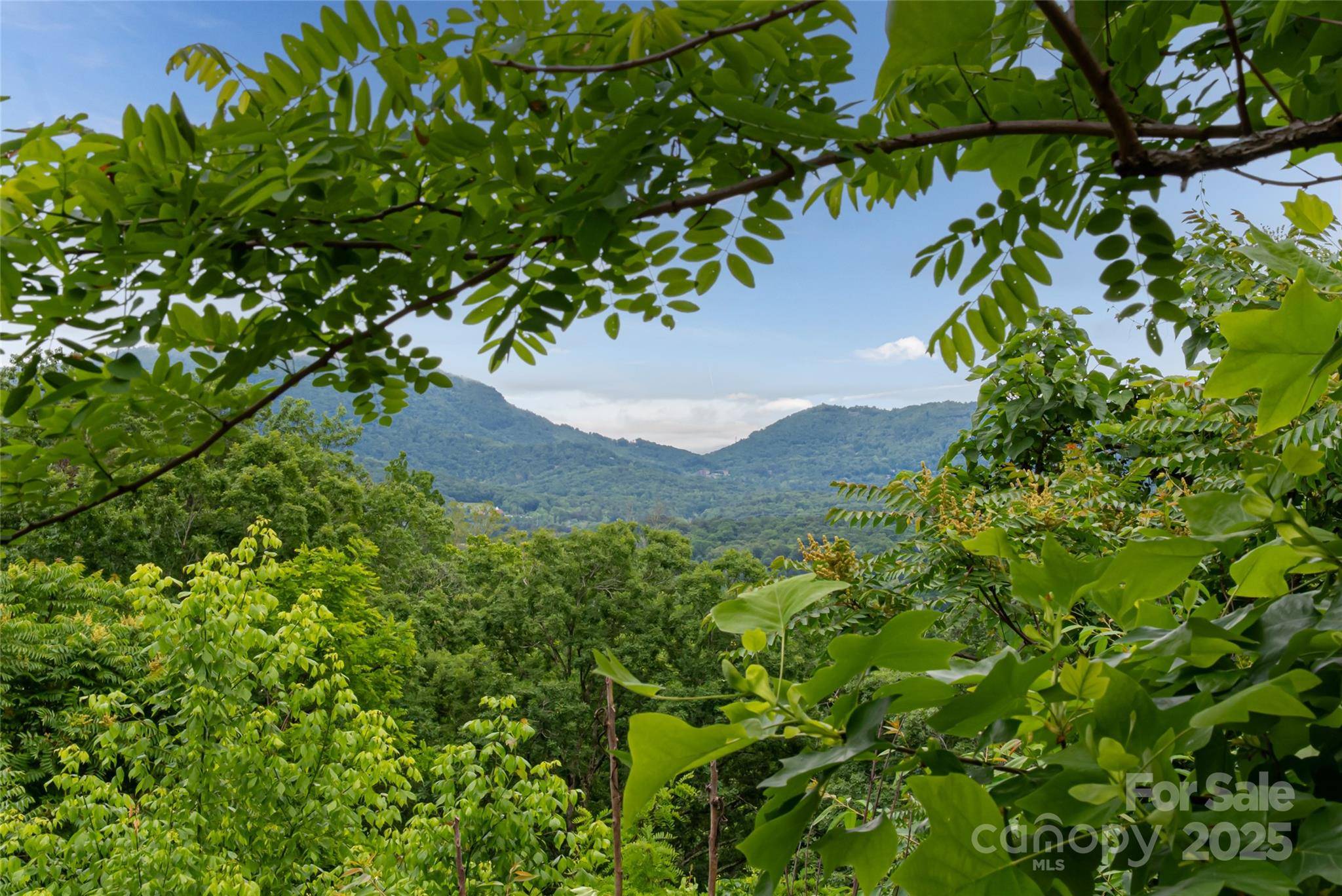 Asheville, NC 28805,22 Samuel Ashe DR #45