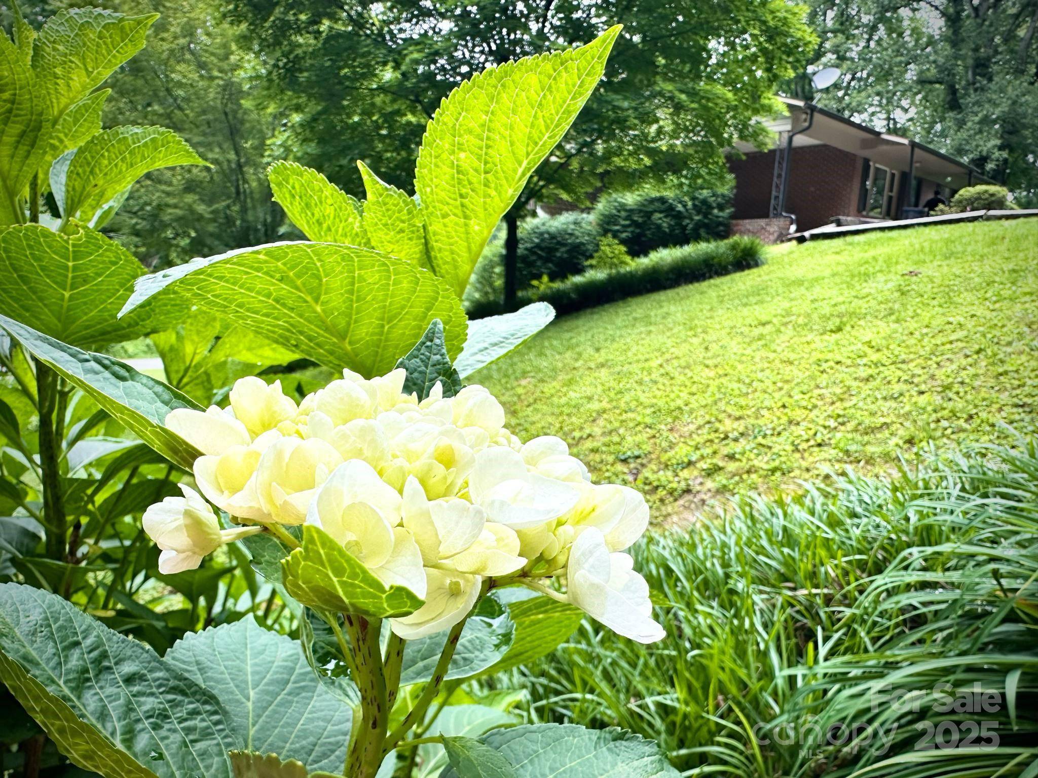 Lenoir, NC 28645,3503 Wyndham LN