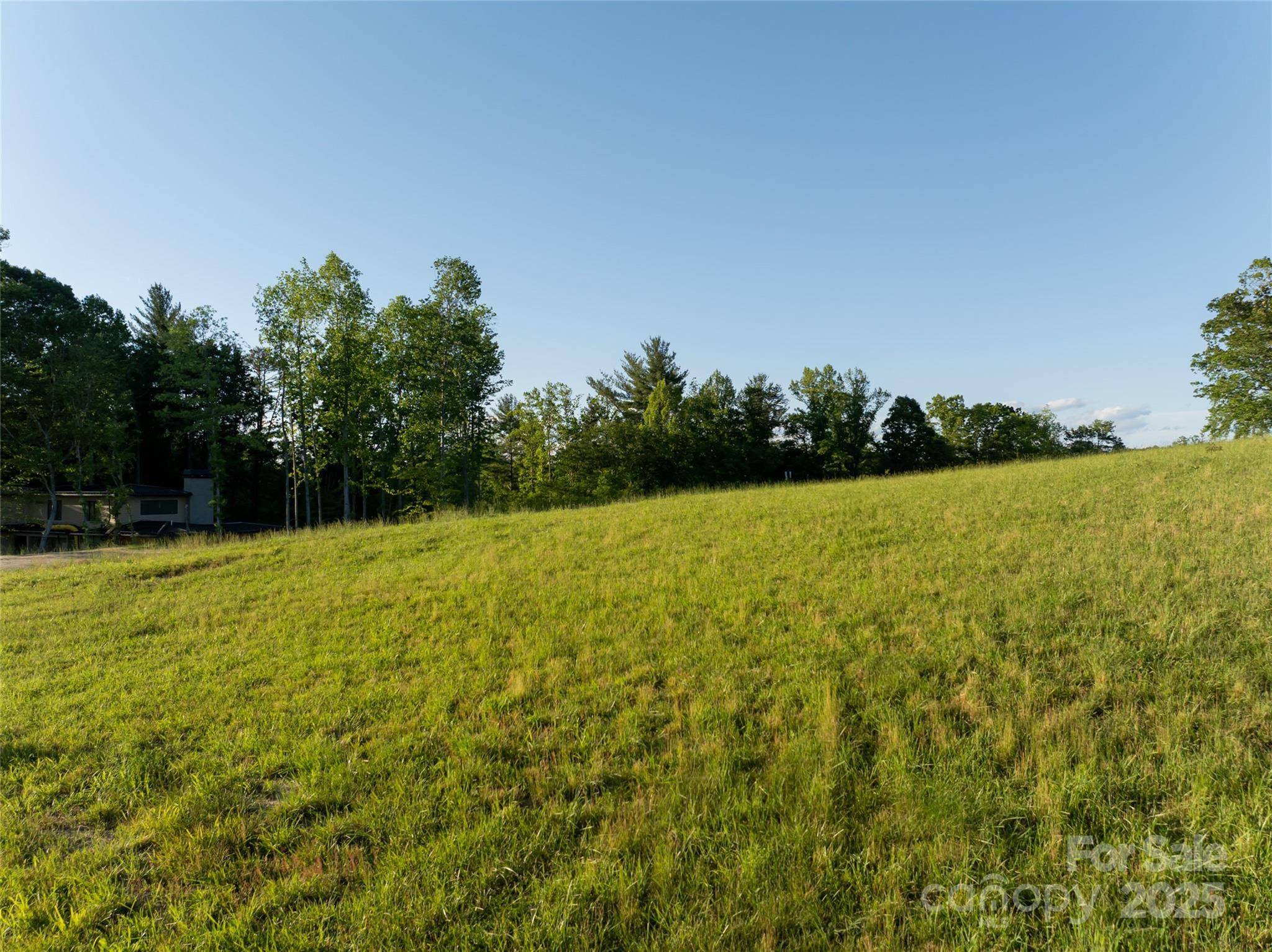 Asheville, NC 28804,124 Lilikoi LN #93