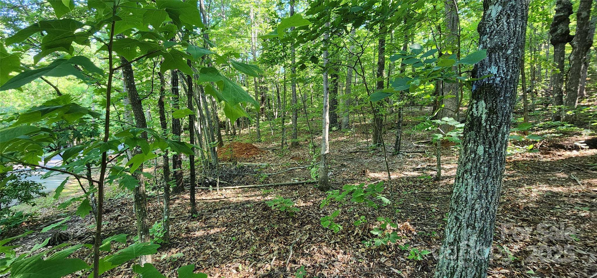 Columbus, NC 28722,Lot 71 Serpentine DR #71