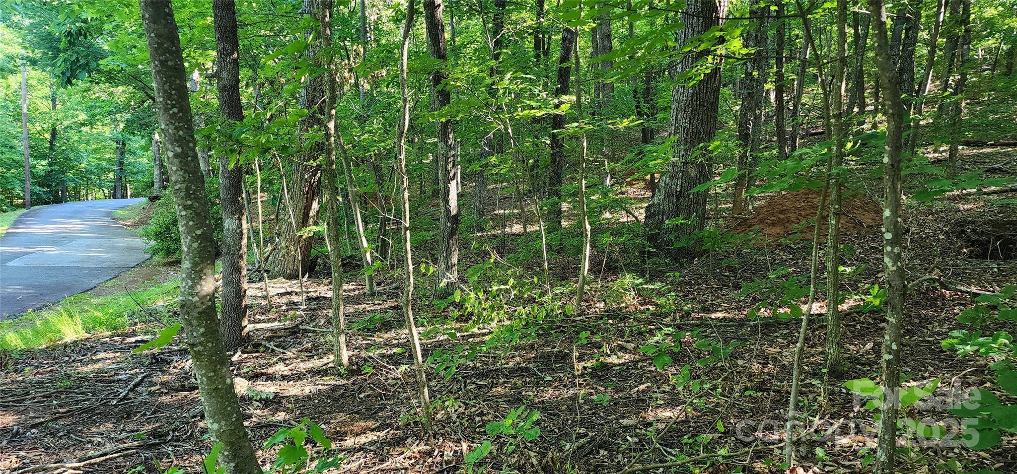 Columbus, NC 28722,Lot 71 Serpentine DR #71