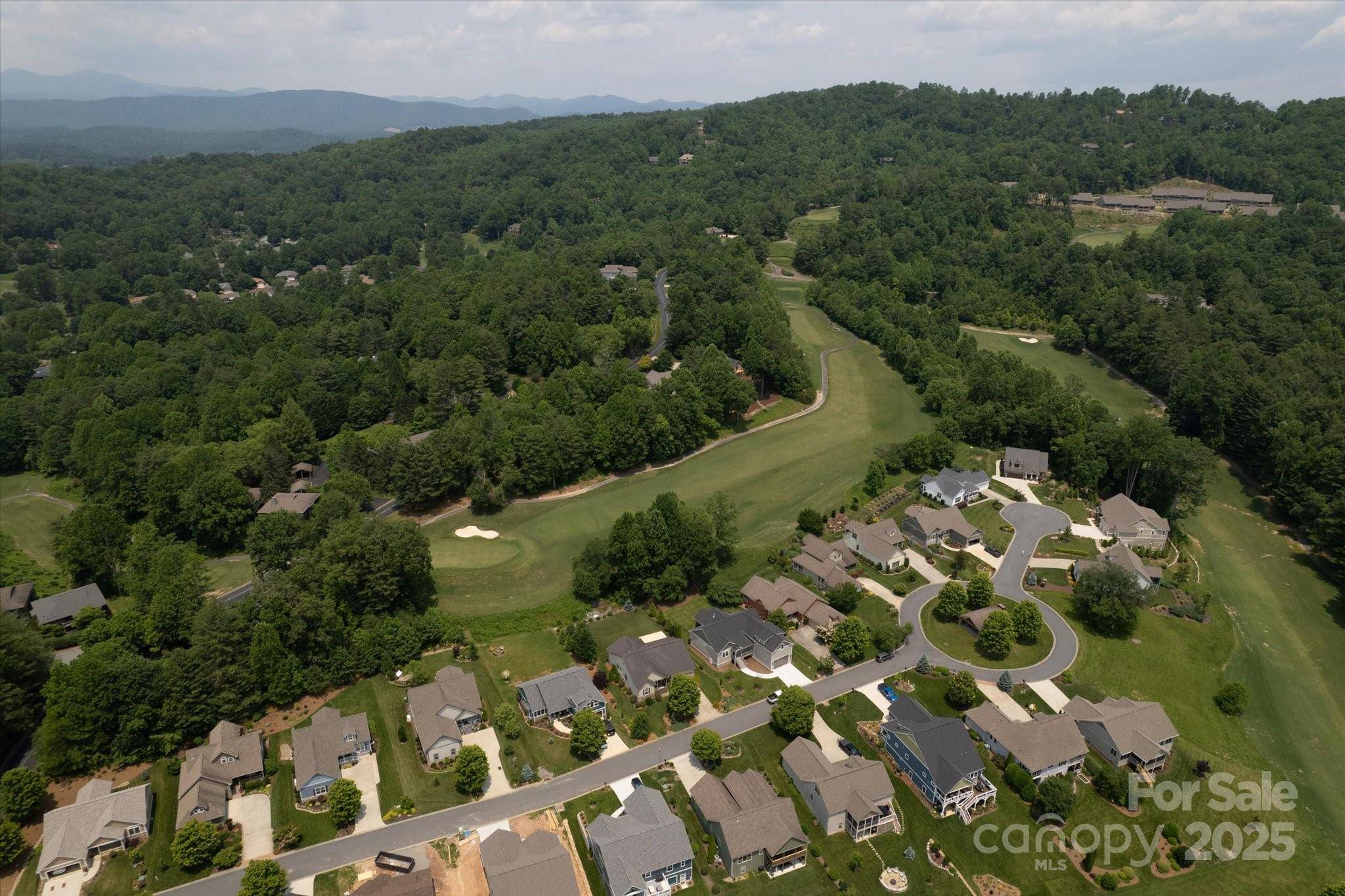 Hendersonville, NC 28739,91 Triple Fairways DR