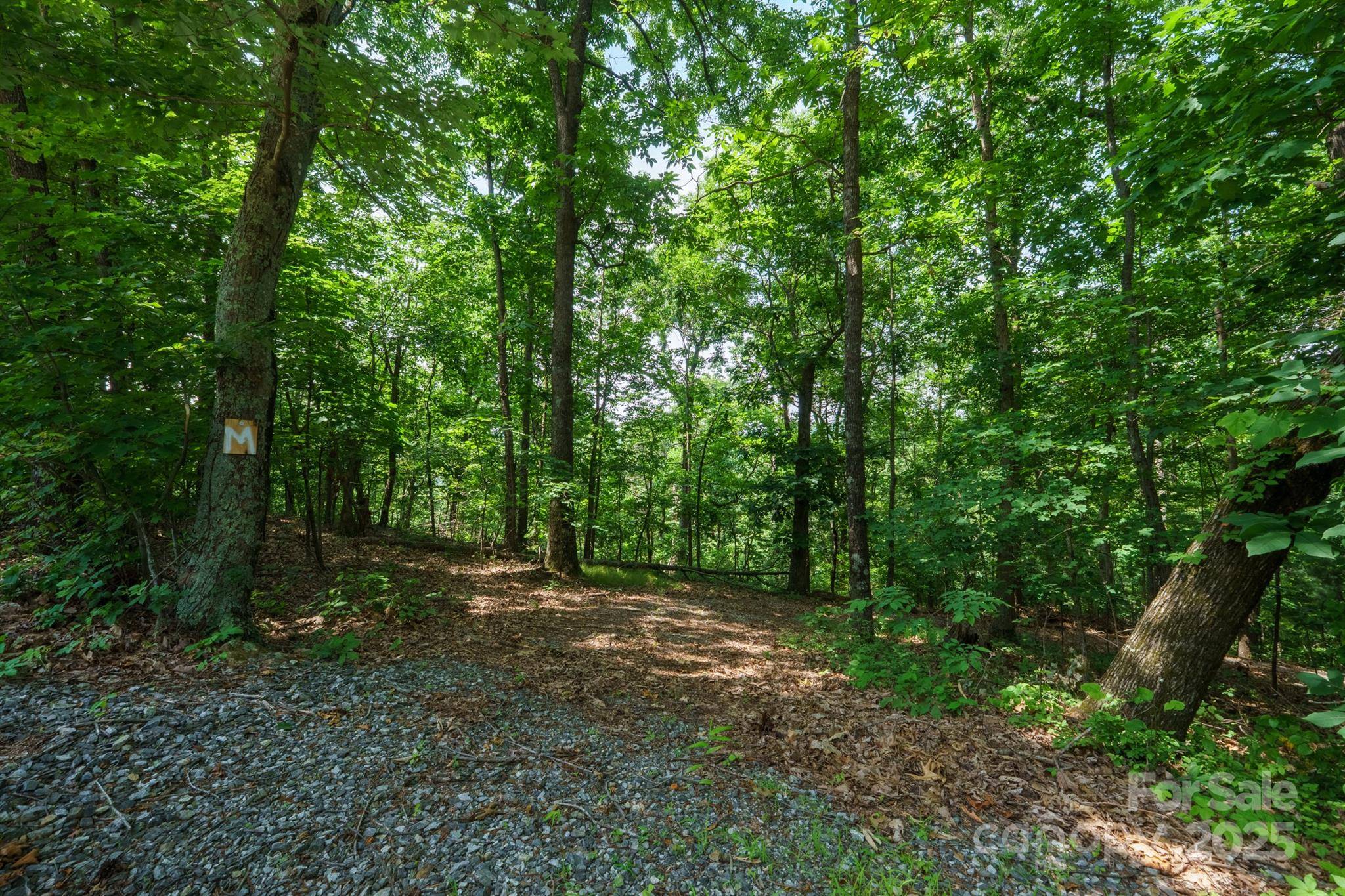 Moravian Falls, NC 28654,00 Hendren RD