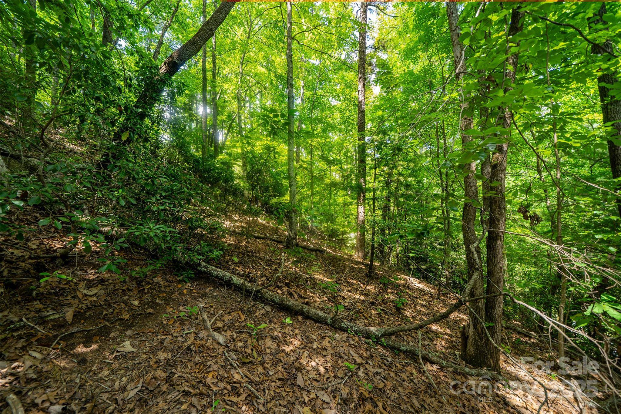 Hendersonville, NC 28739,00000 Foster Hill DR #3