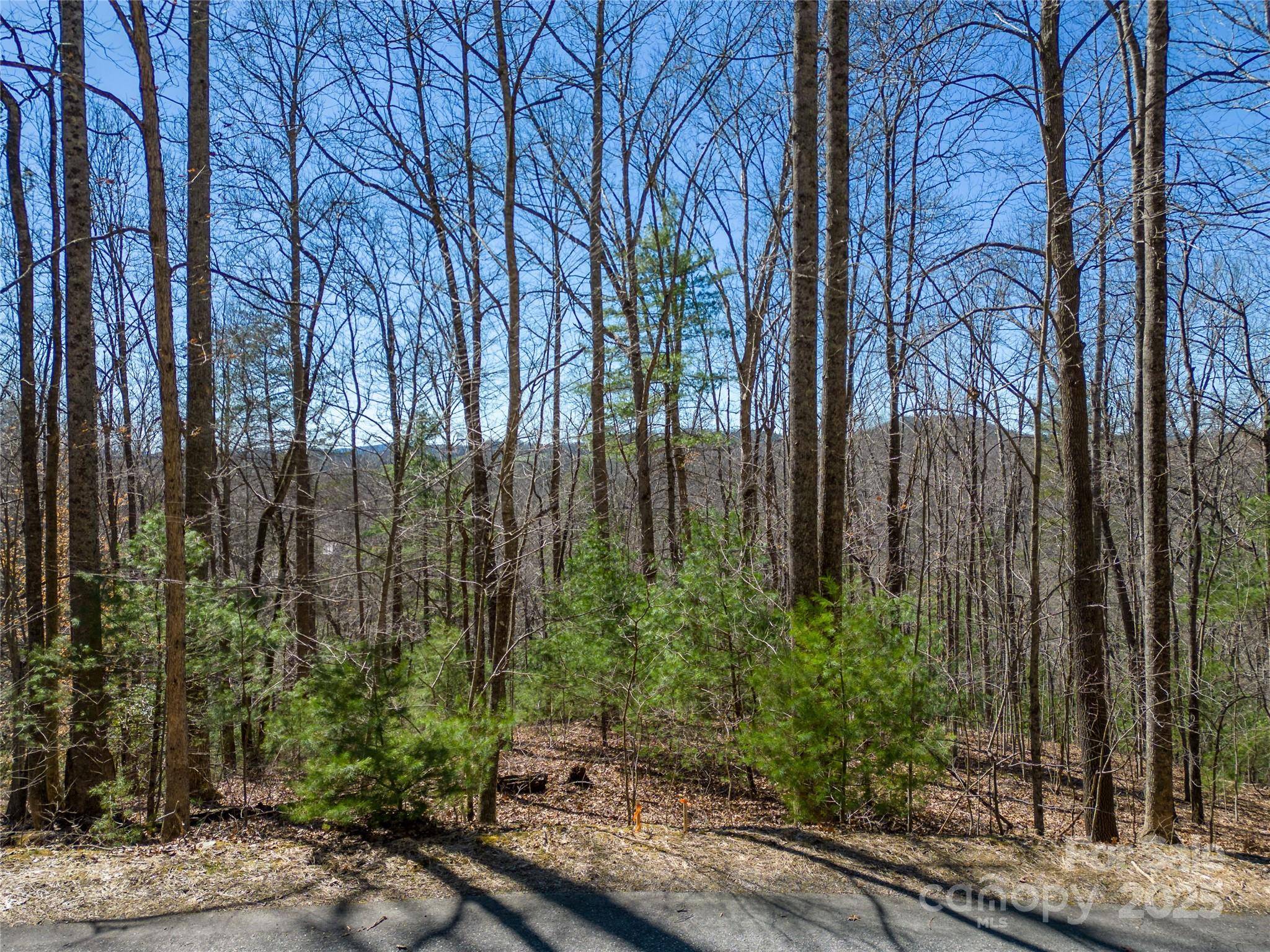 Hendersonville, NC 28792,132 Overlook Park DR #51