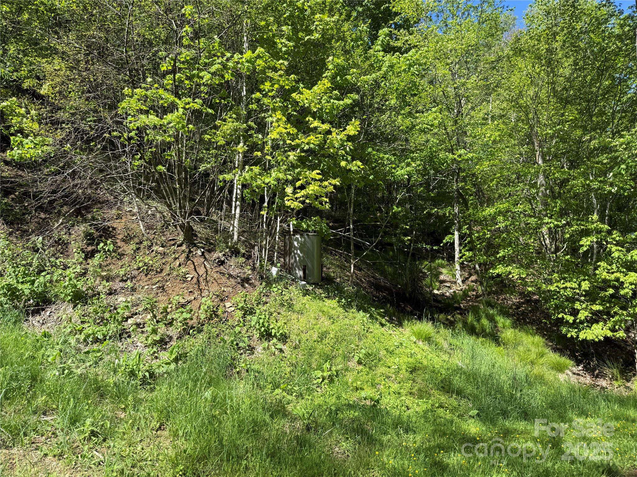 Banner Elk, NC 28604,6 Wakeman WAY