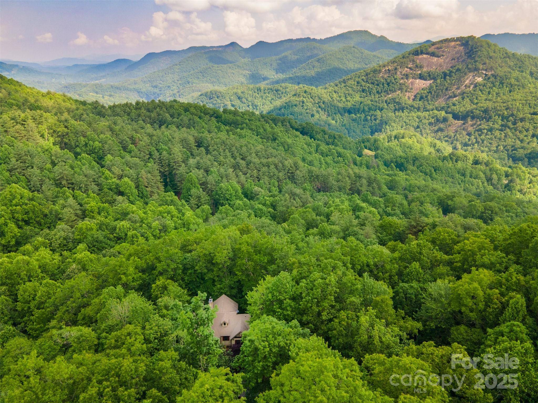 Tuckasegee, NC 28783,172 Juneberry LN