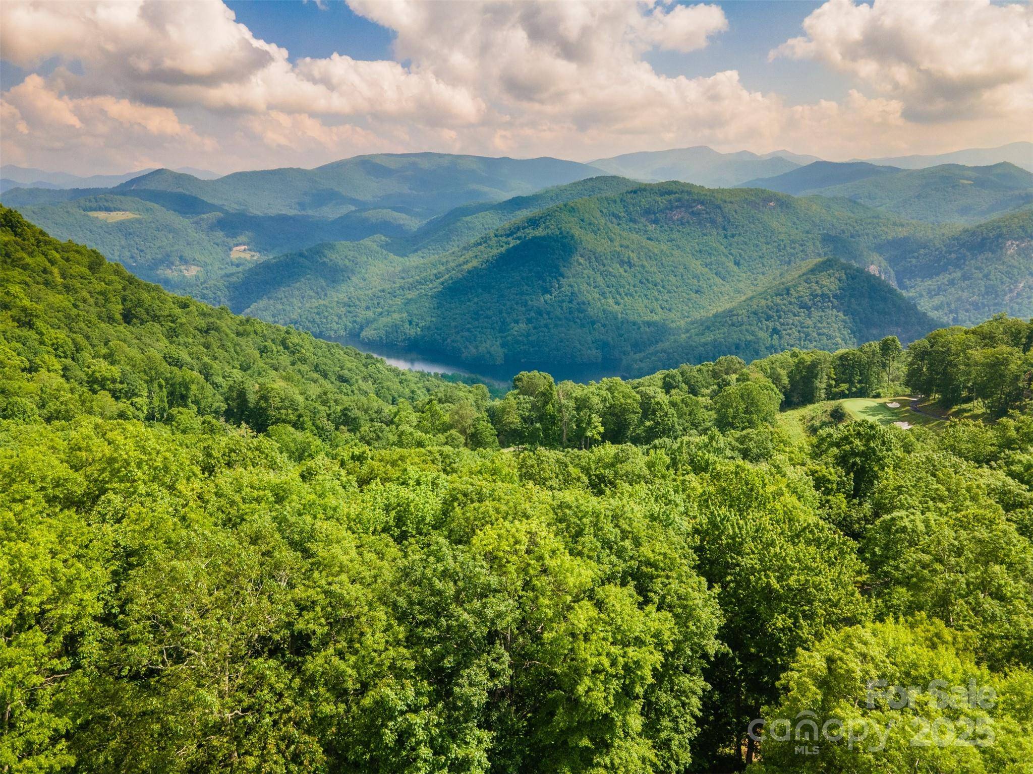 Tuckasegee, NC 28783,627 Steeplebush CT