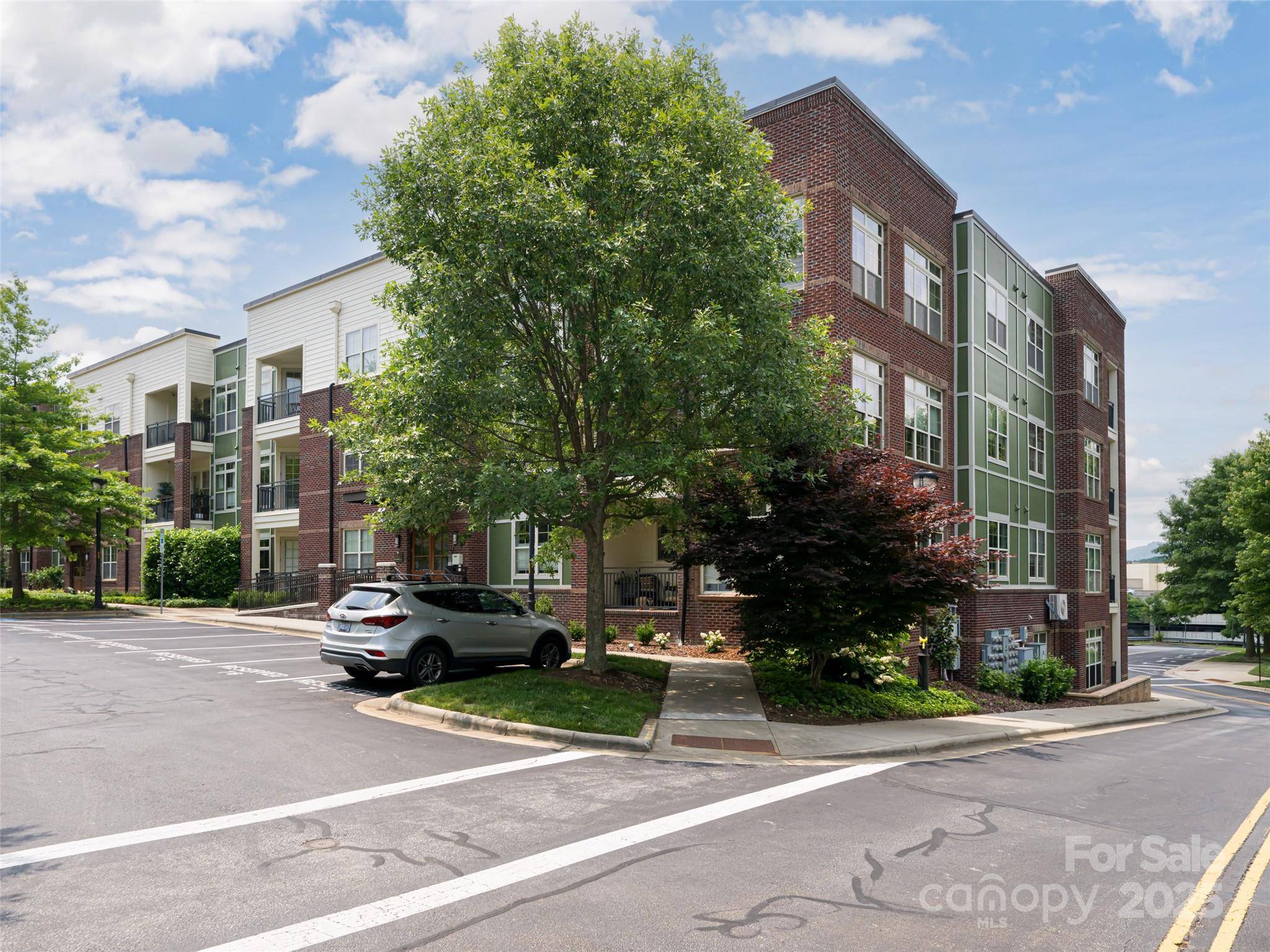 Asheville, NC 28803,5 Farleigh ST #206
