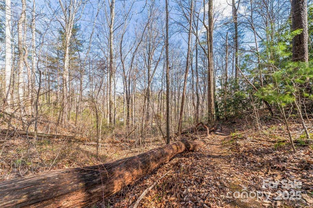 Asheville, NC 28805,99999 Parker RD #3