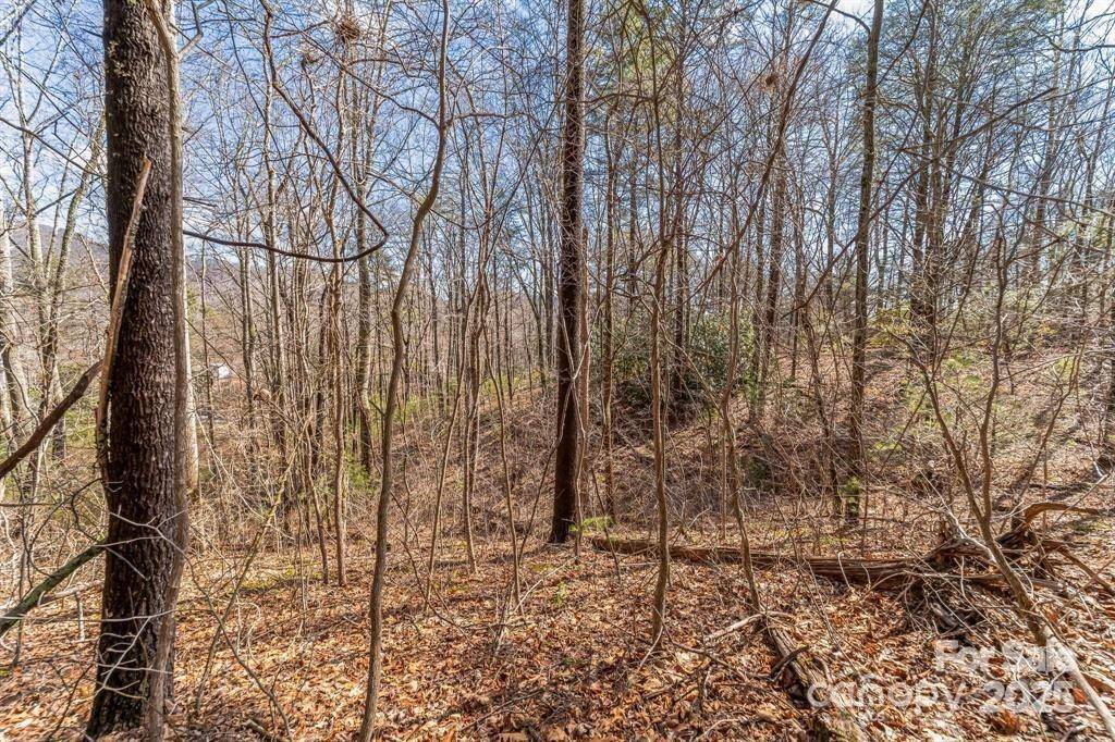 Asheville, NC 28805,99999 Parker RD #3